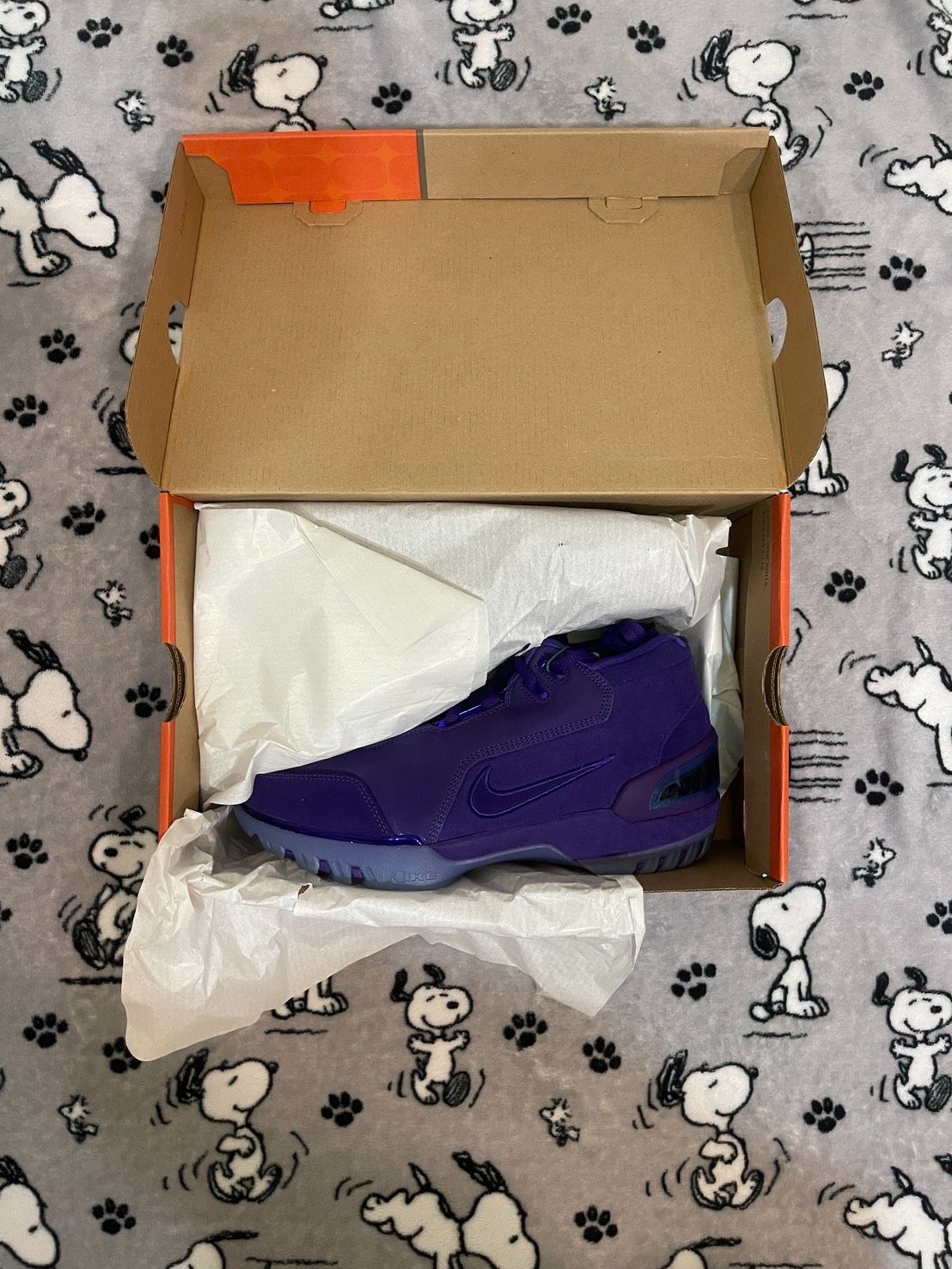 Nike Air Zoom Generation Purple Suede FJ0667-500 - US8全新