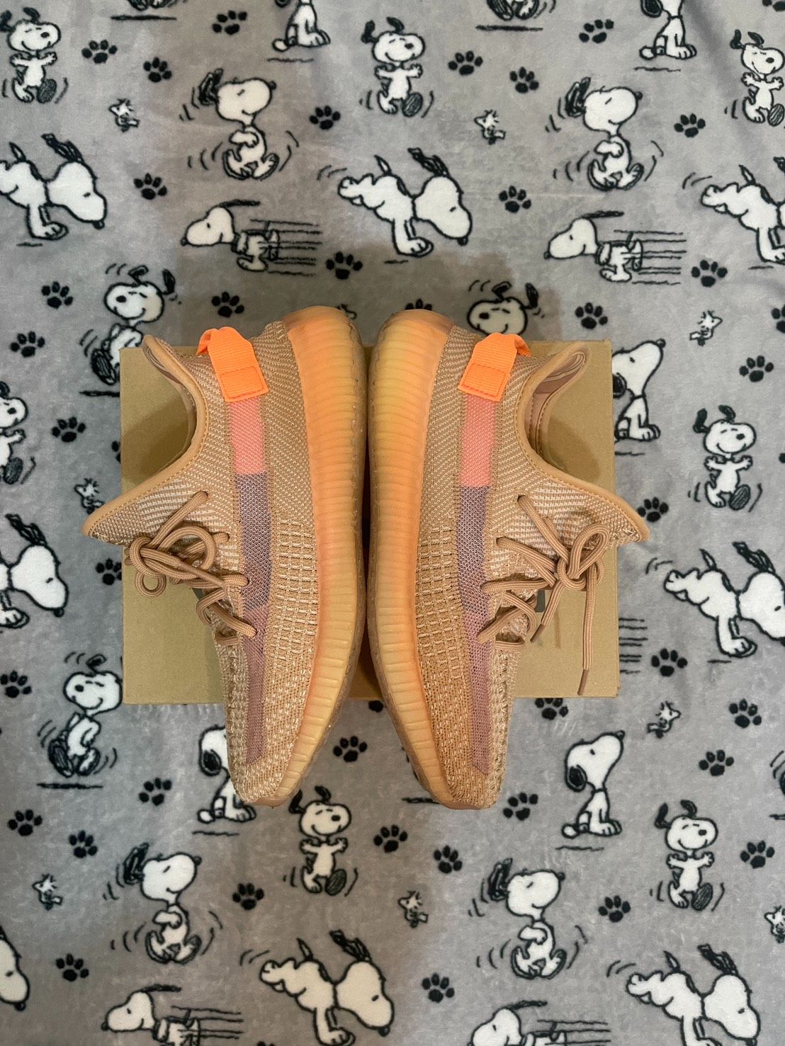 adidas Yeezy Boost 350 V2 Clay（美限） EG7490 - US8二手