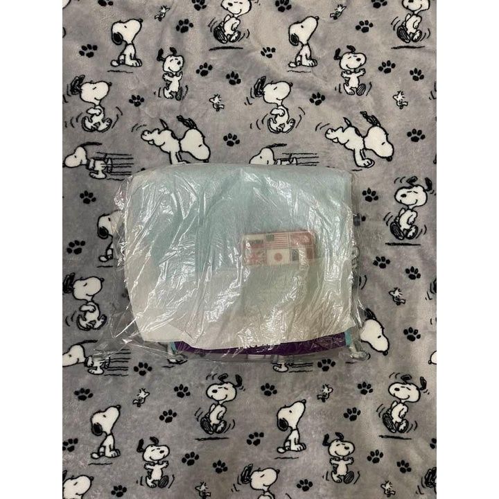 THE NORTH FACE TAE PANT TRANSANTARCTIC 防水 南極藍 - S全新