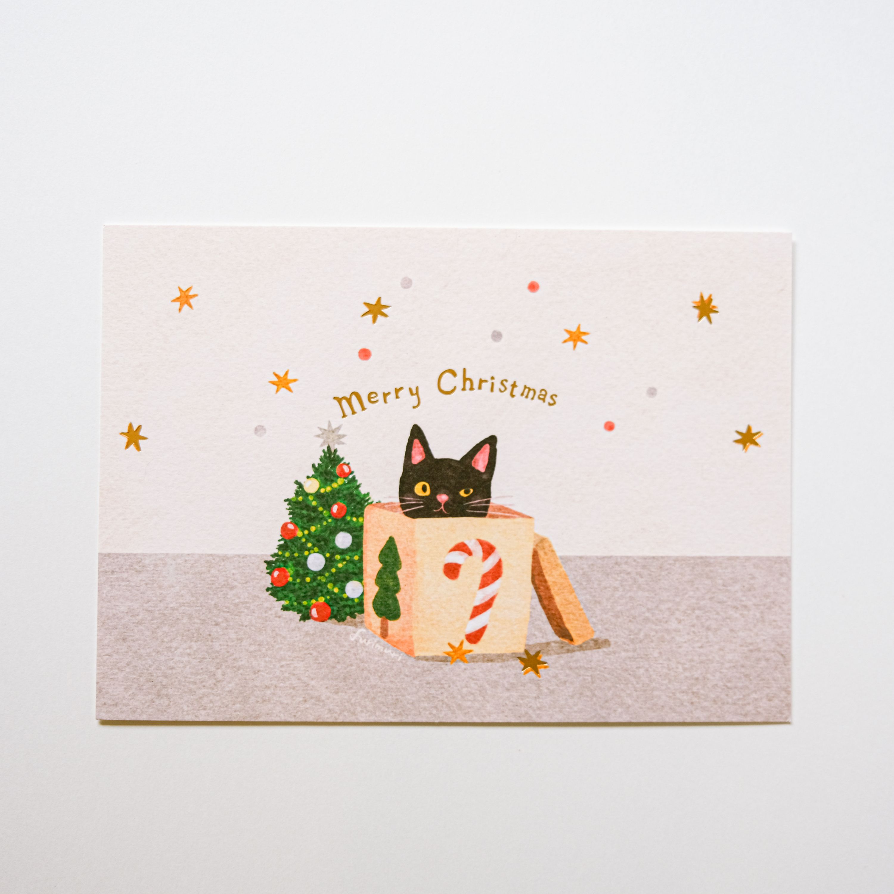 燙金聖誕明信片 merry christmas 聖誕禮物和的小黑貓