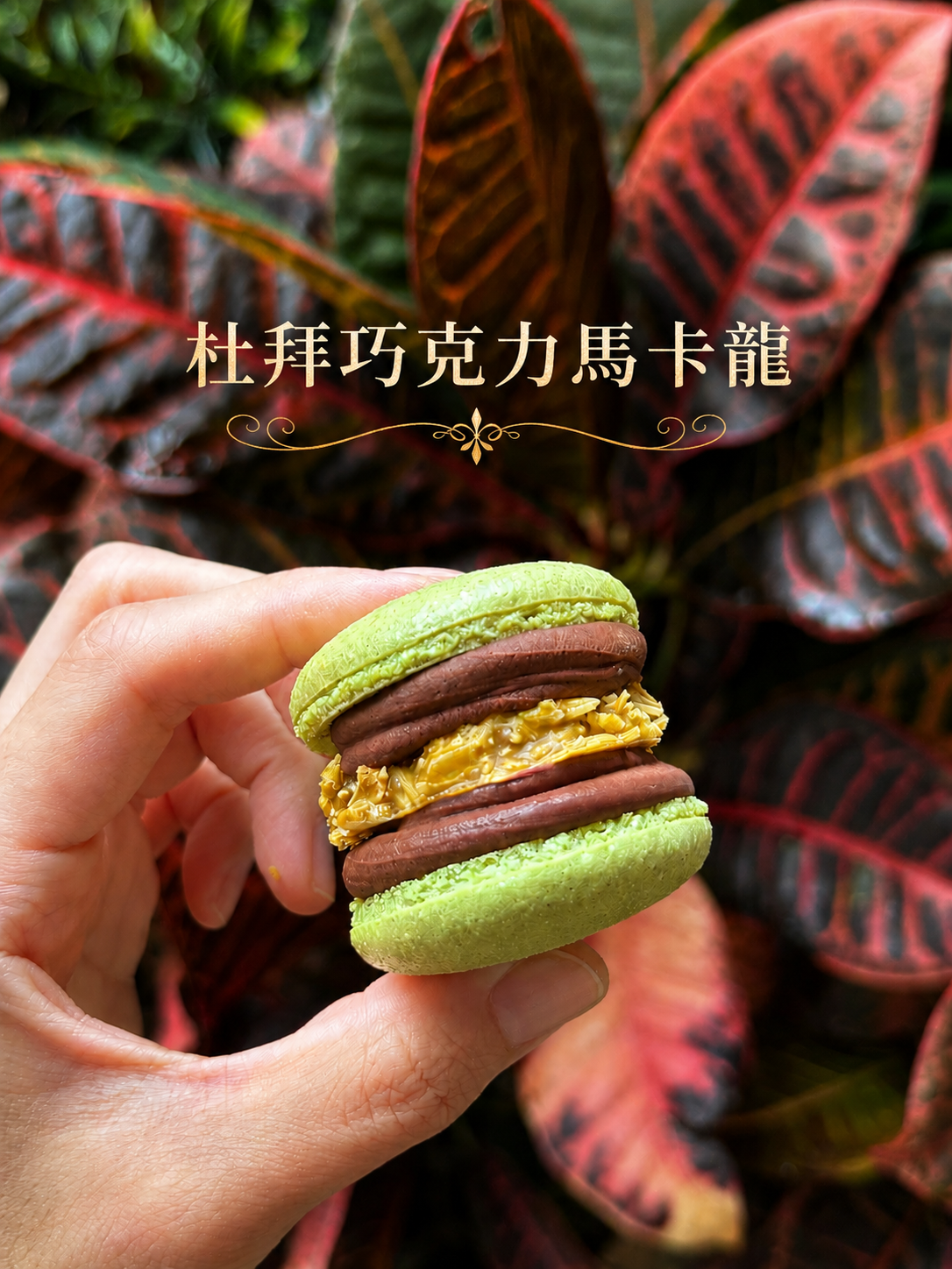 【杜拜巧克力馬卡龍】