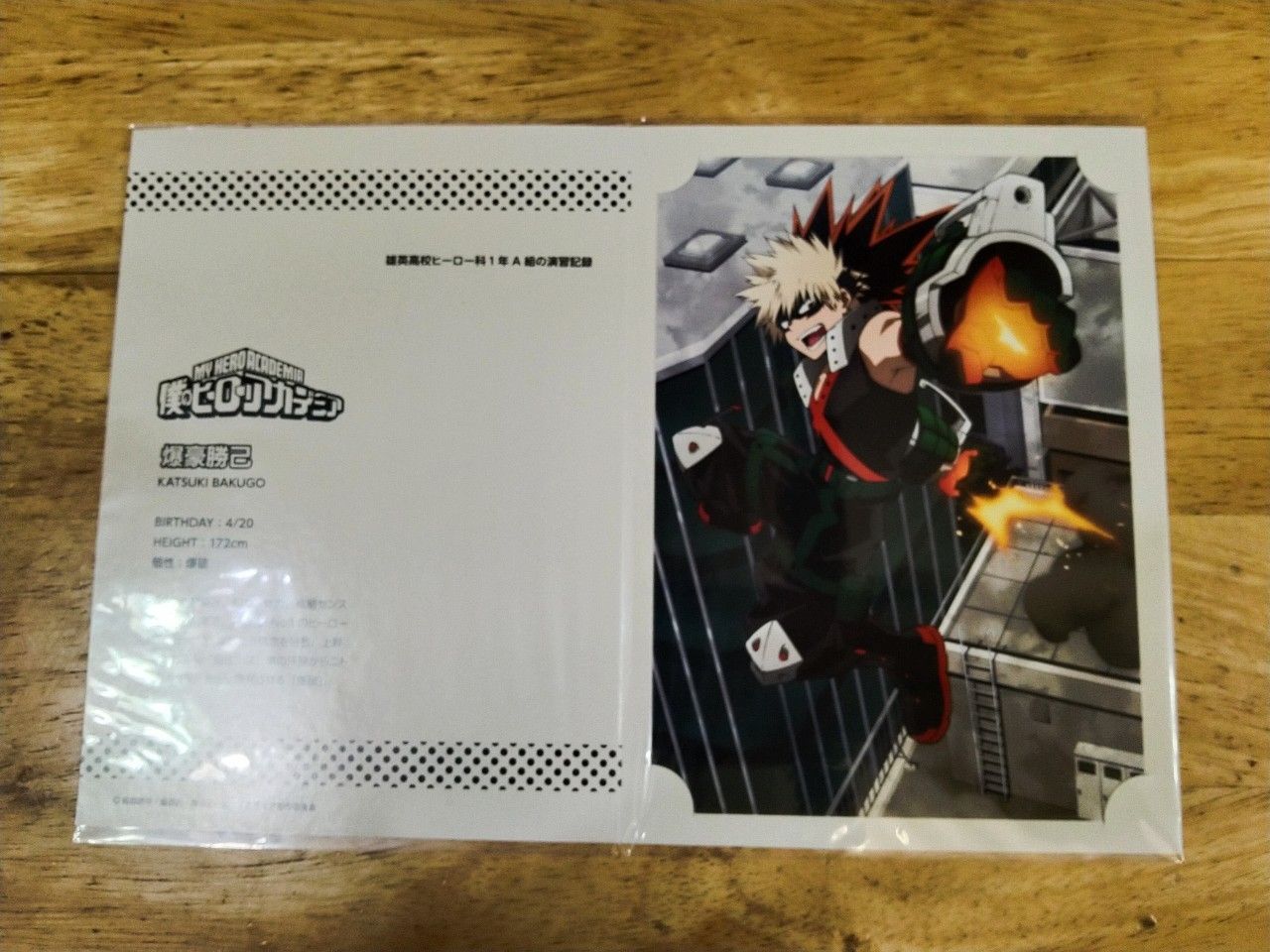 爆豪勝己 活動錄寫真冊