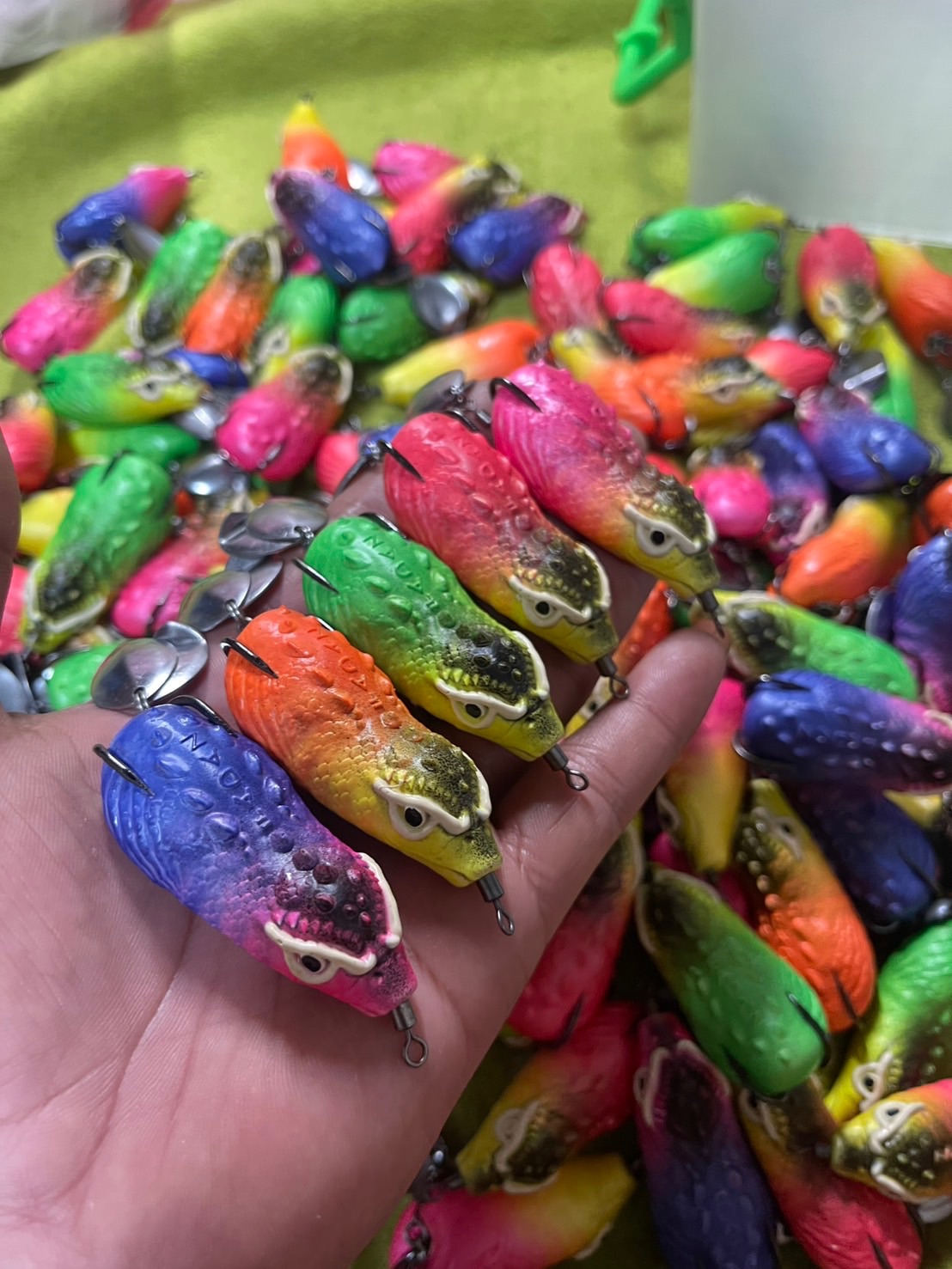 二隻爆咬皺眉頭蛙搭配一隻1.0套餐