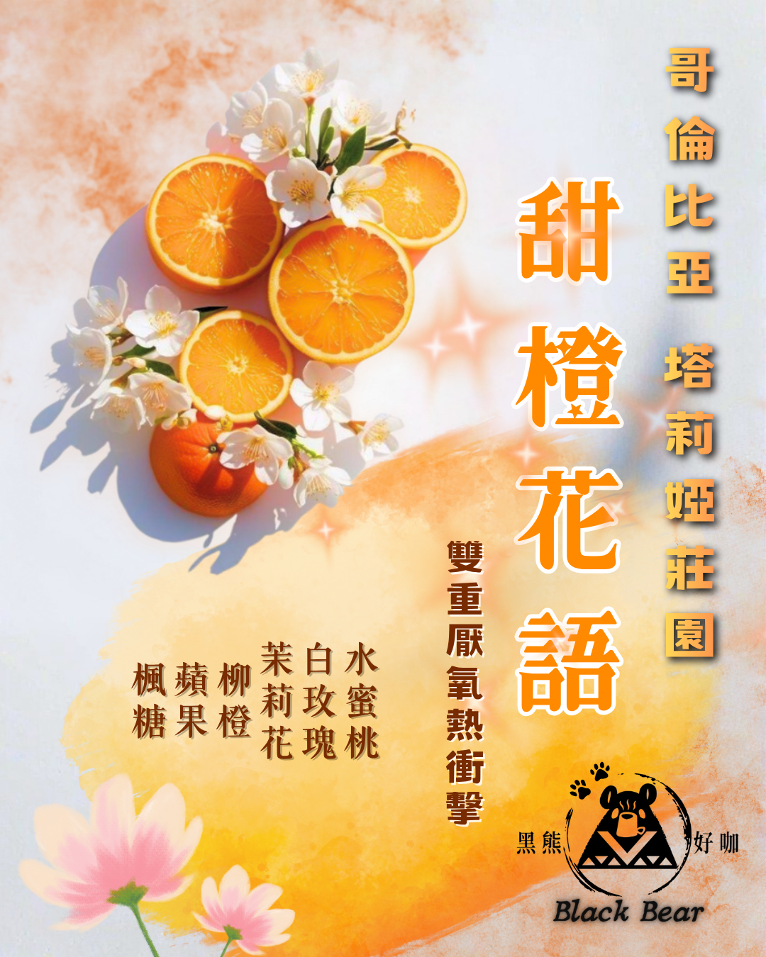 哥倫比亞 甜橙花語 塔莉亞莊園