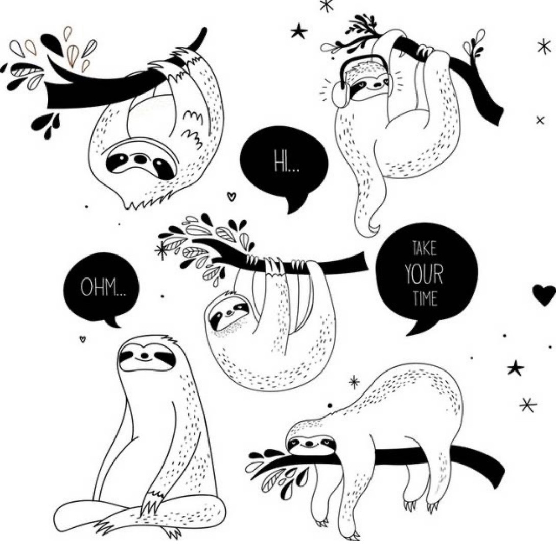 Sloth ♡ 湊免運小食