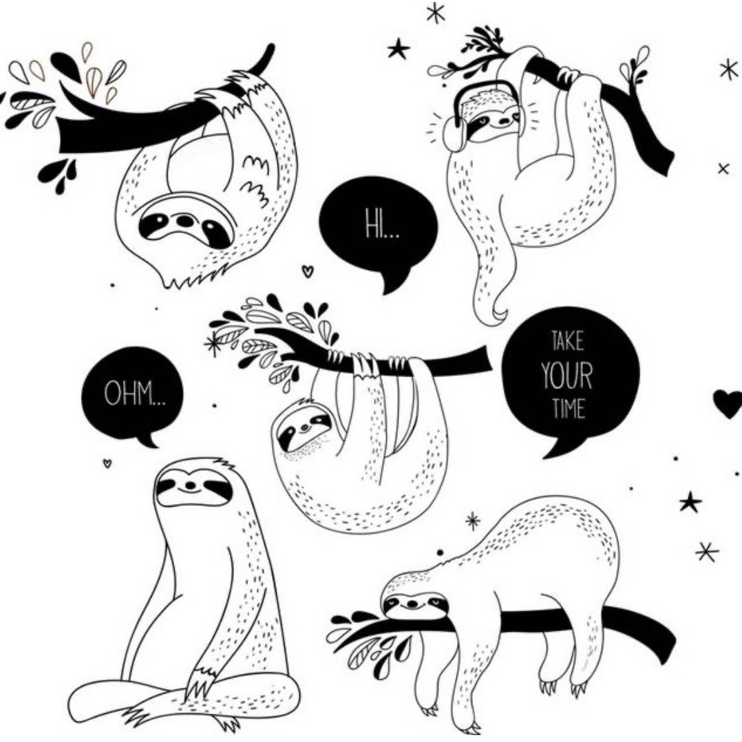 Sloth ♡ 許願推薦美食（可到官方許願喲！