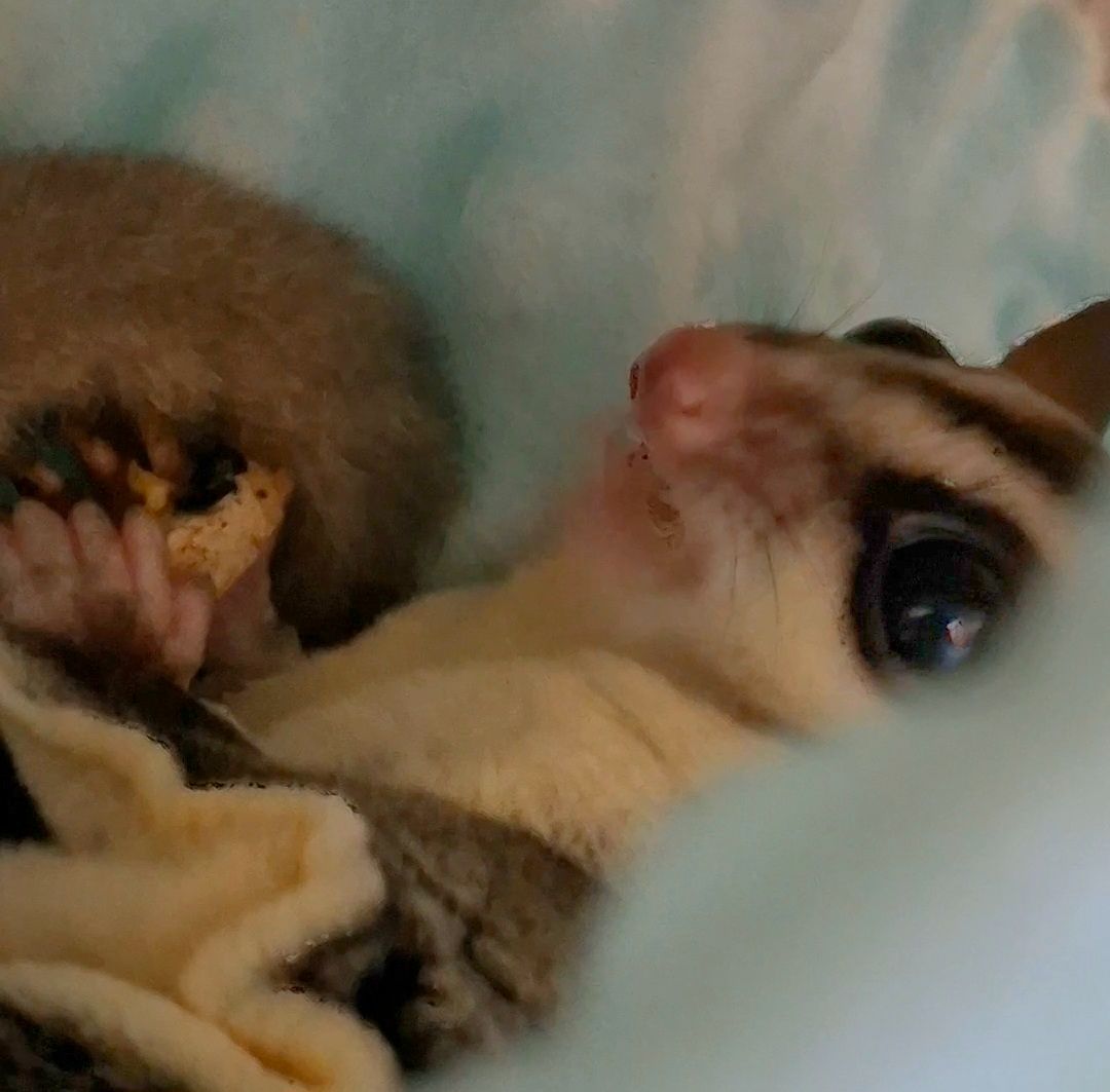 特別訂單（沒事不要亂下單哦🤣🤣