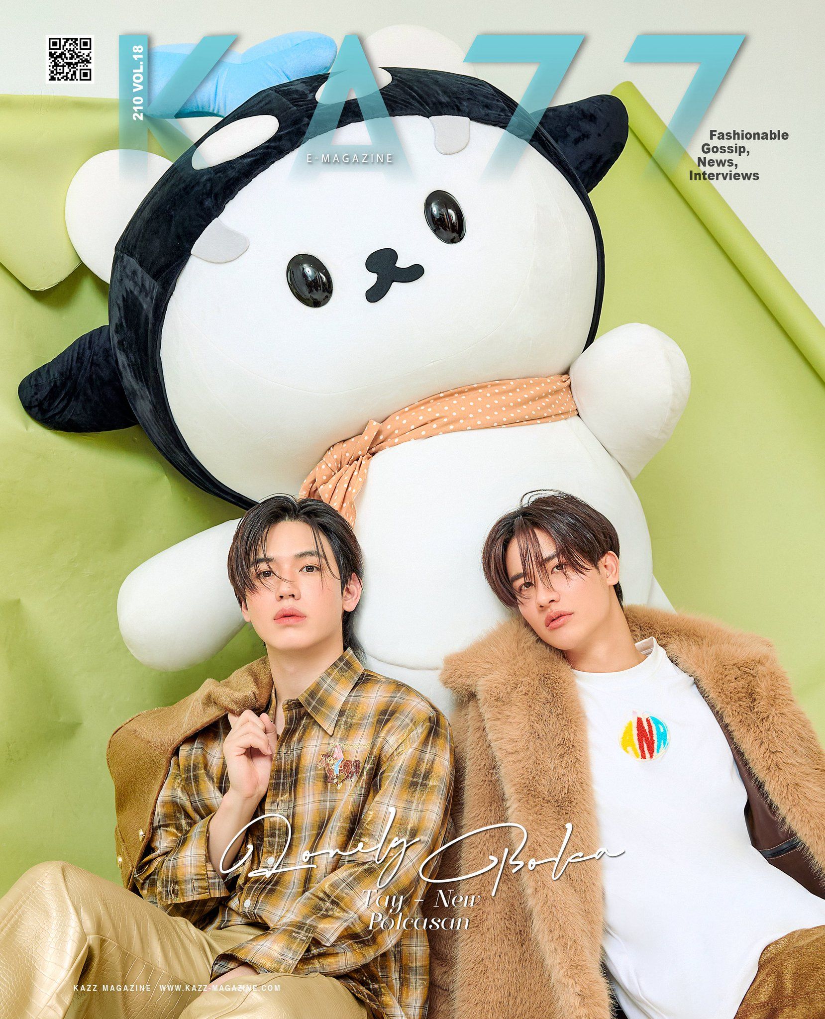 KAZZ 210 TAYNEWPOLCASA