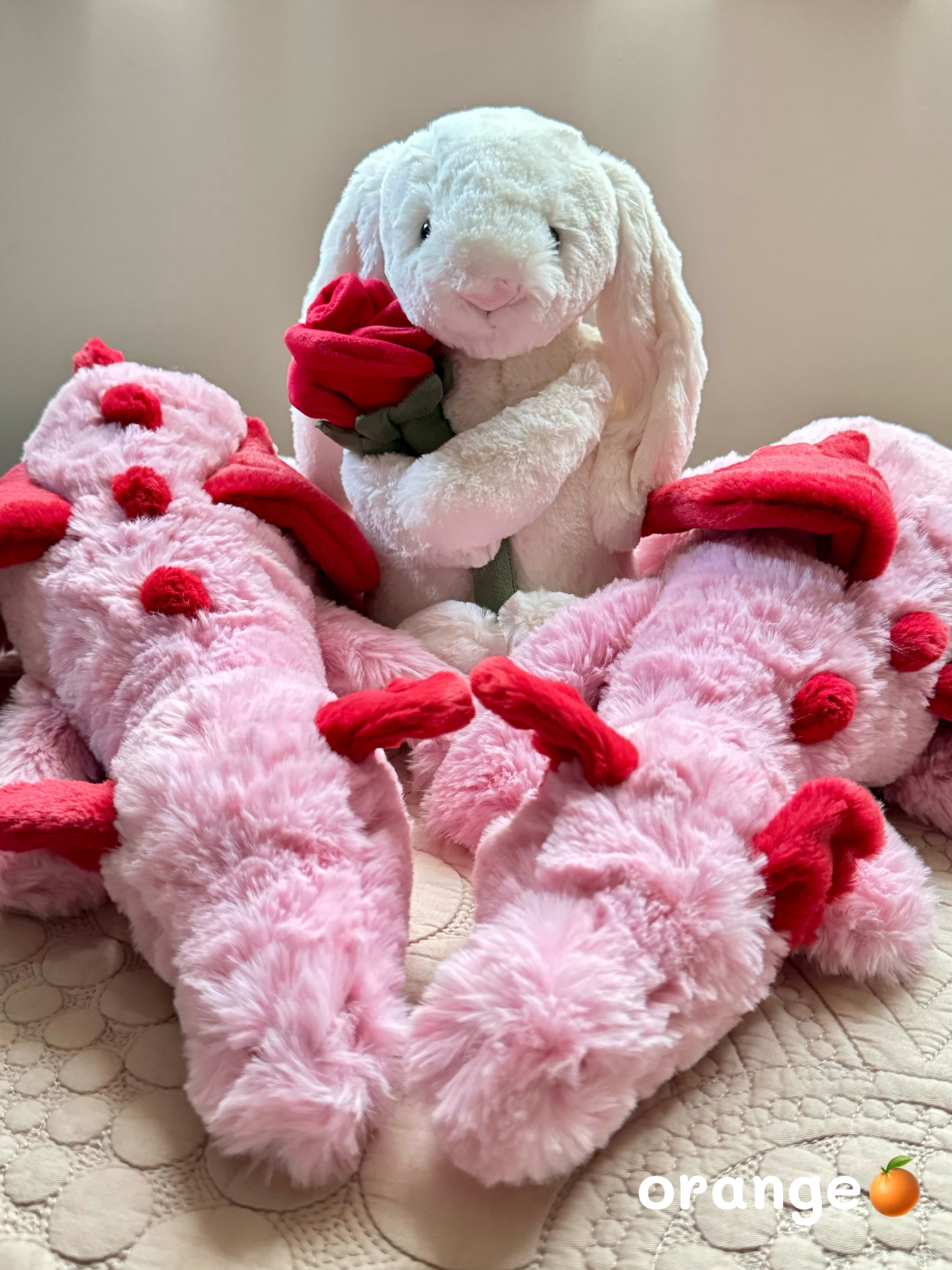 Jellycat 玫瑰兔