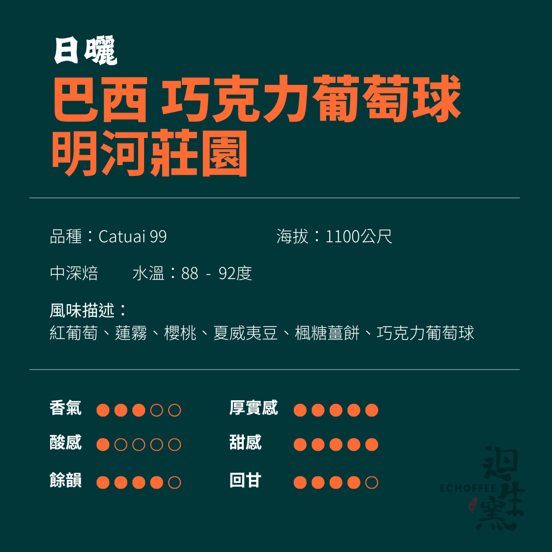 【職人陶烘】巴西 明河莊園 日曬 巧克力葡萄球
