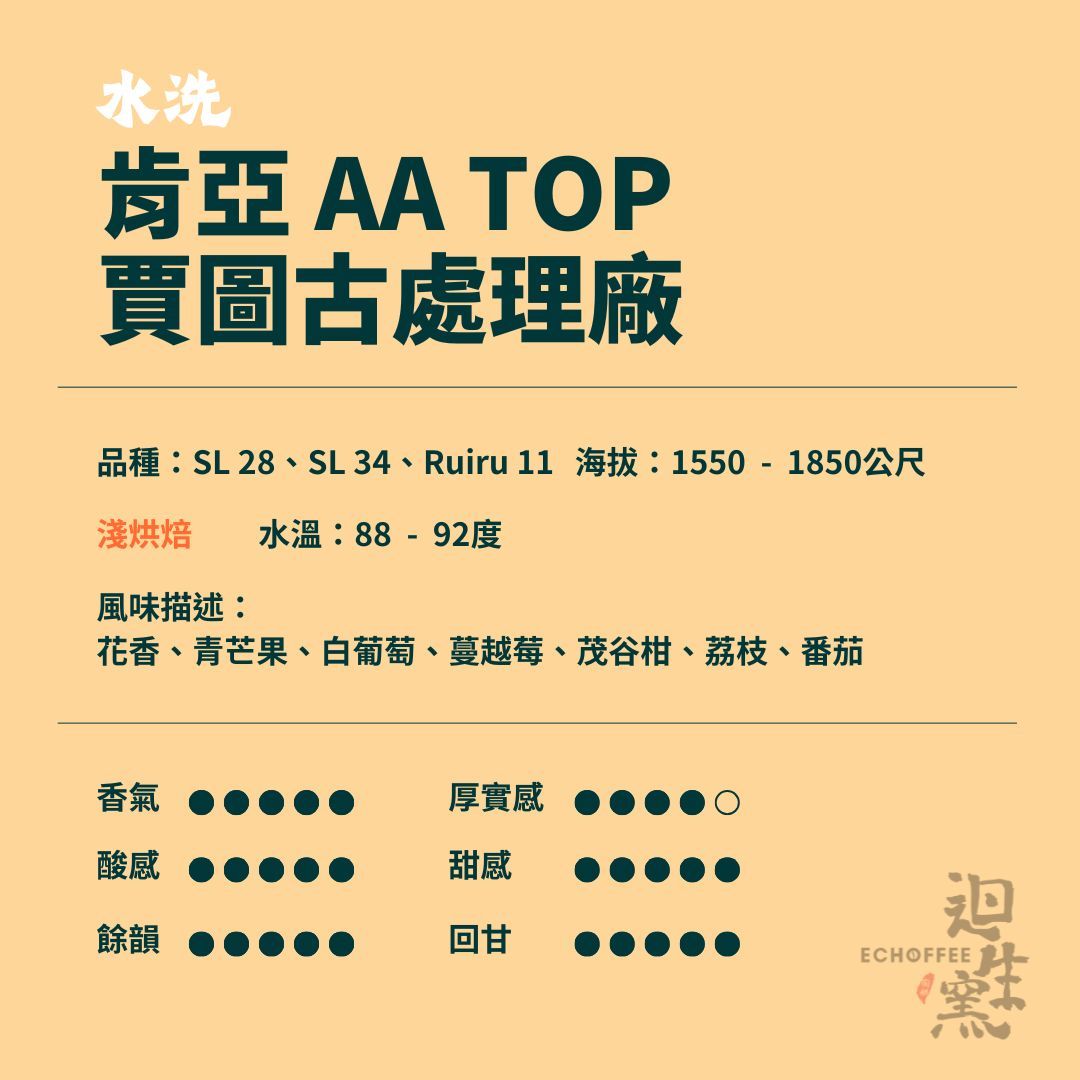 【職人陶烘】肯亞 AA TOP 賈圖古處理廠 水洗