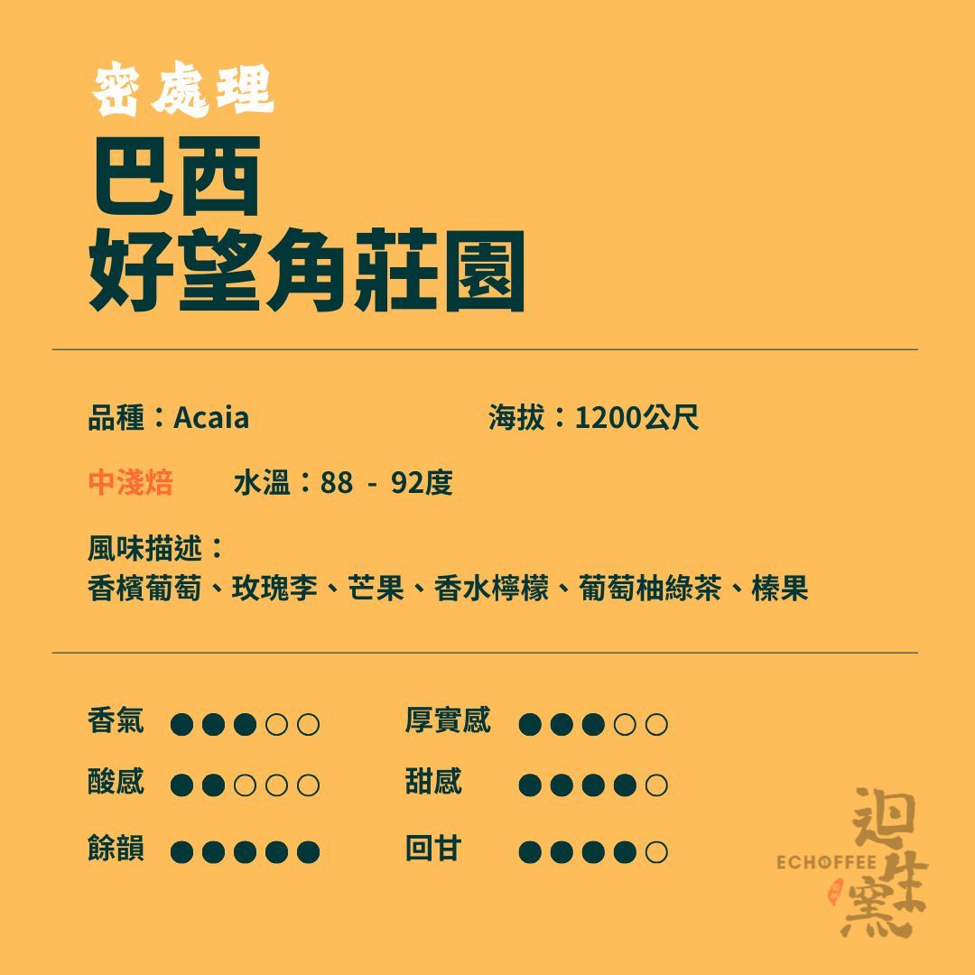 【職人陶烘】巴西 好望角莊園 Acaia 密處理
