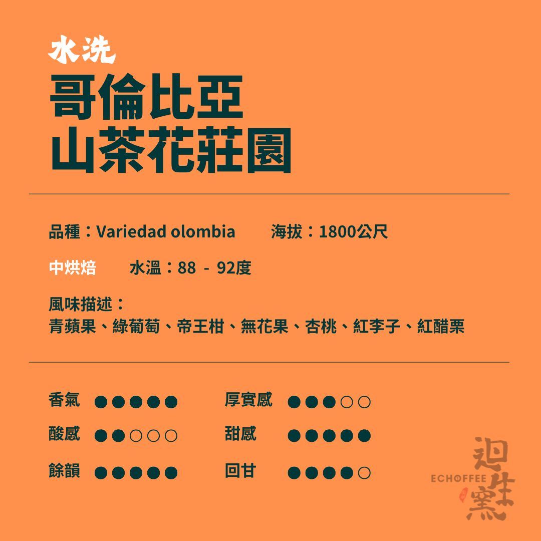 【職人陶烘】哥倫比亞 山茶花莊園 批次水洗