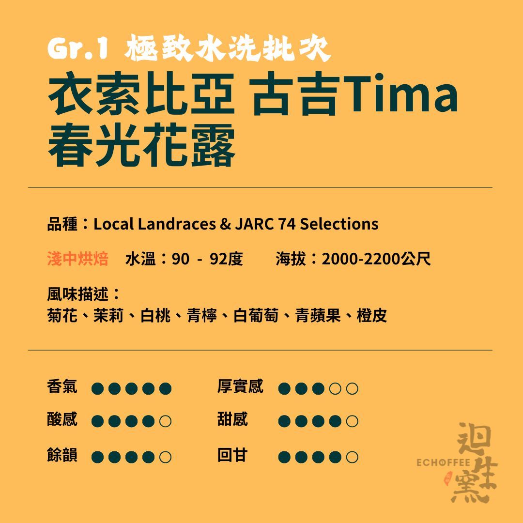 【職人陶烘】衣索比亞 古吉 Tima「春光花露」Gr.1 極致水洗批次