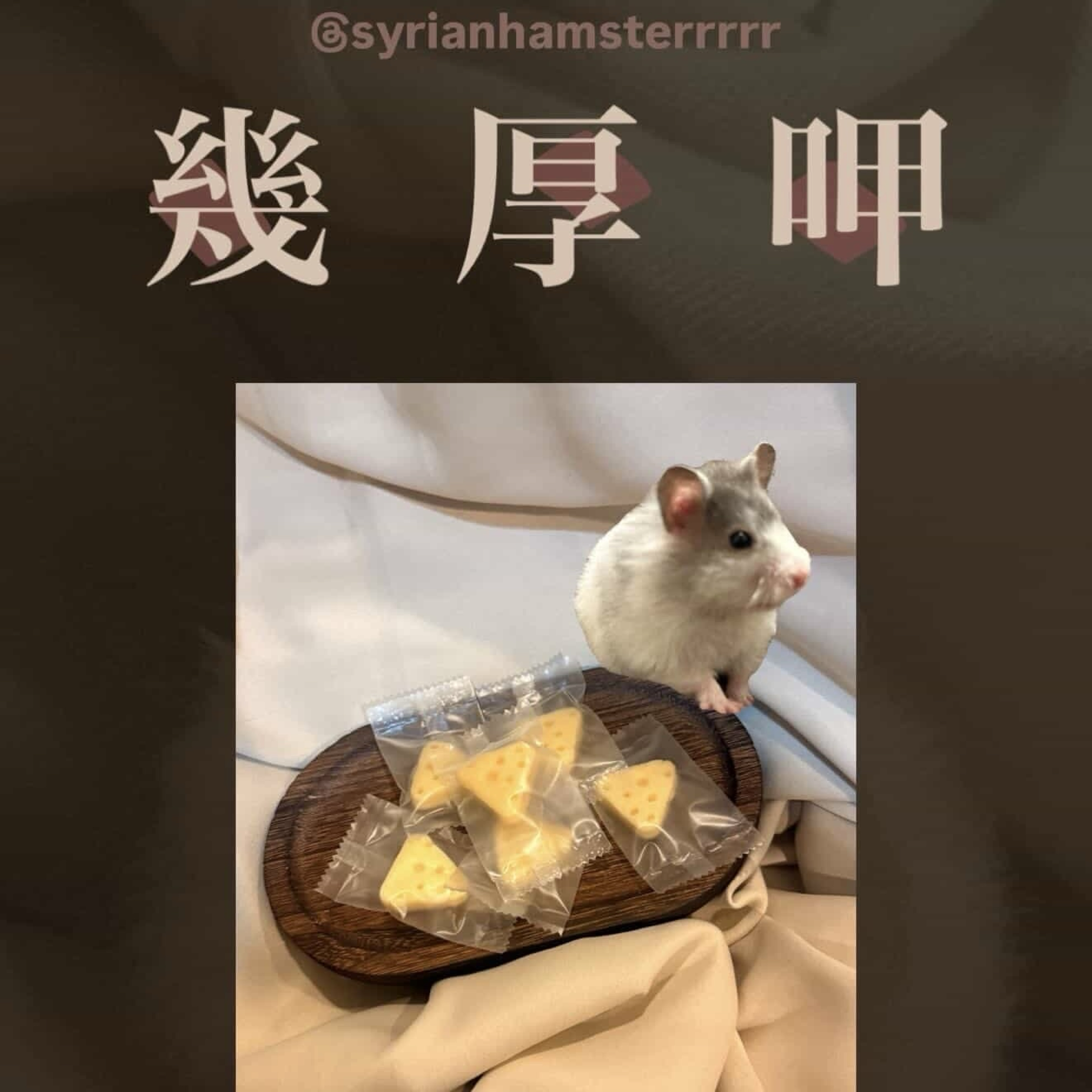 幾咬呷 三角起司/奶酪塊