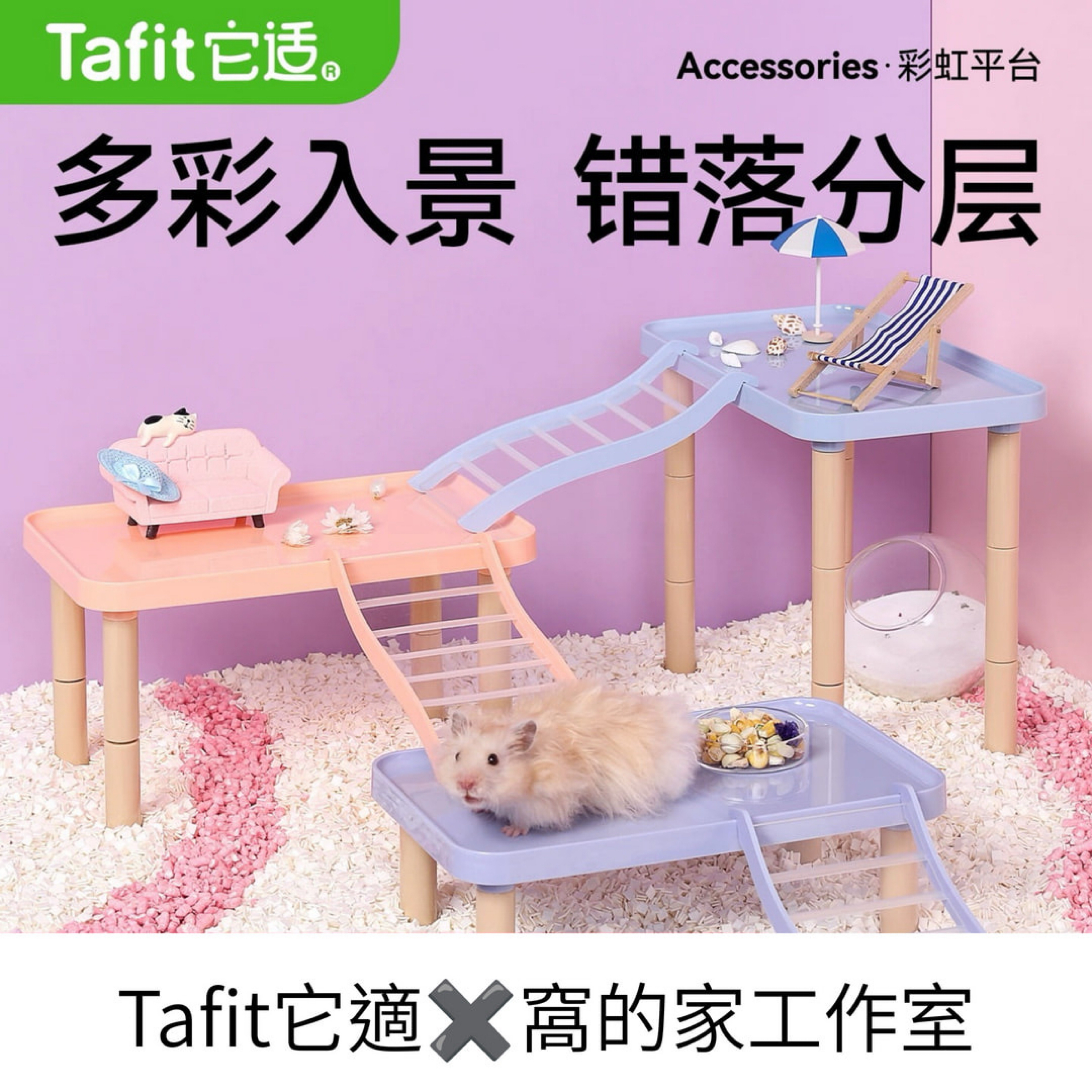 Tafit它適｜彩虹平台