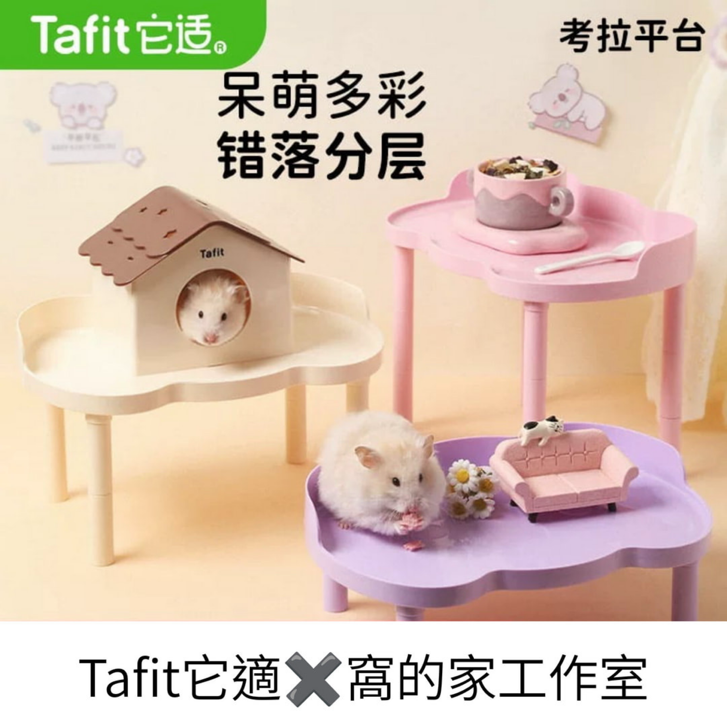 Tafit它適｜考拉平台