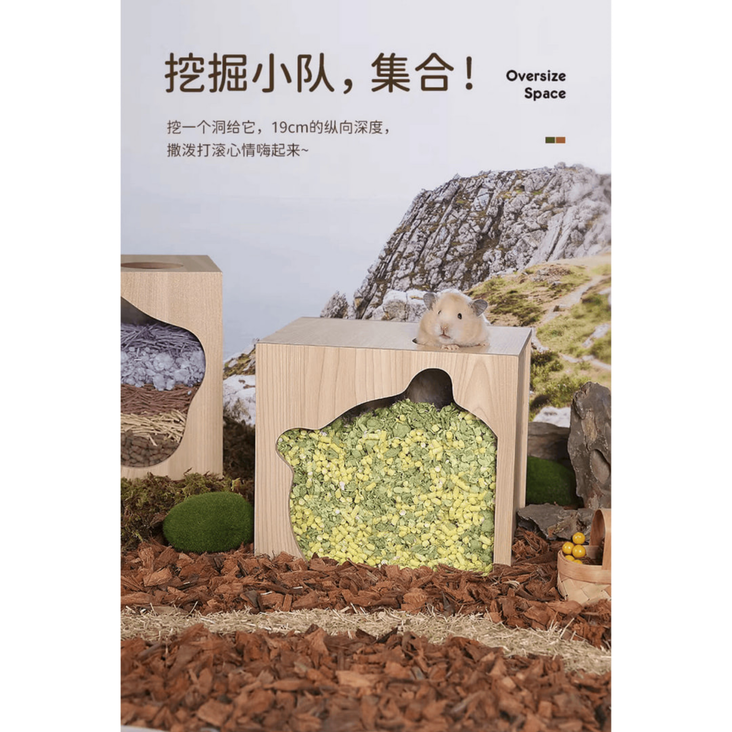 Tafit它適｜樹洞挖掘盒