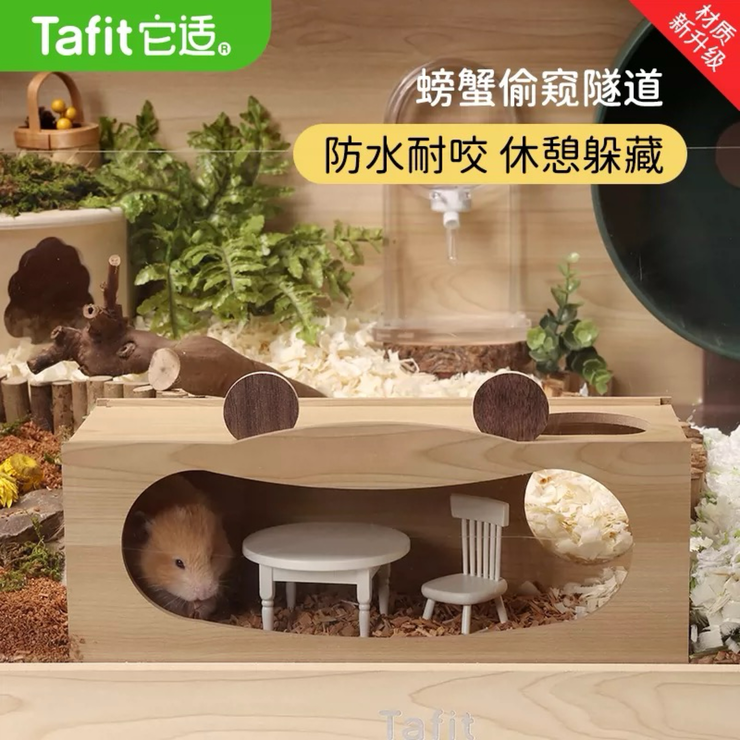 Tafit它適｜螃蟹偷窺走道