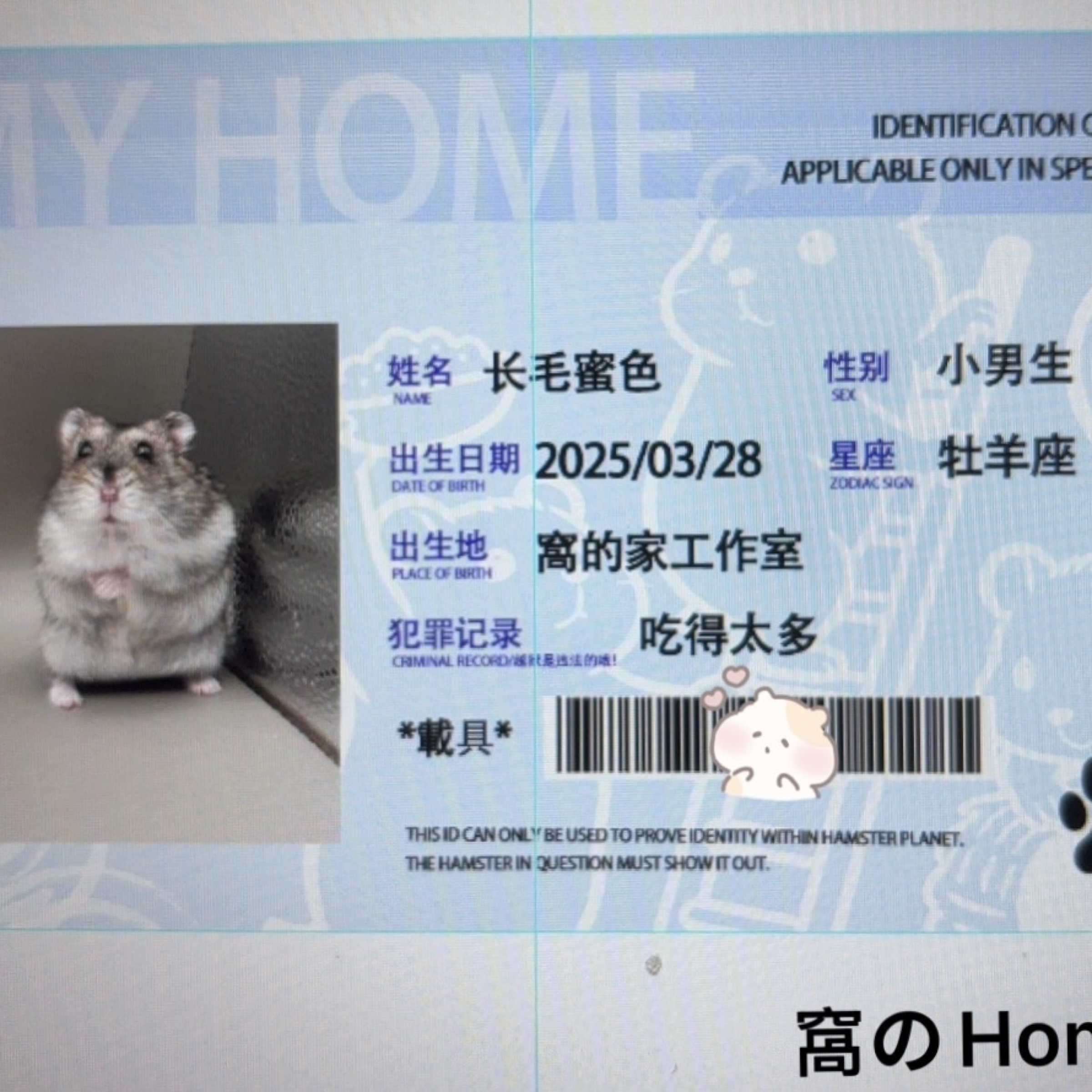 客製化鼠鼠身份證