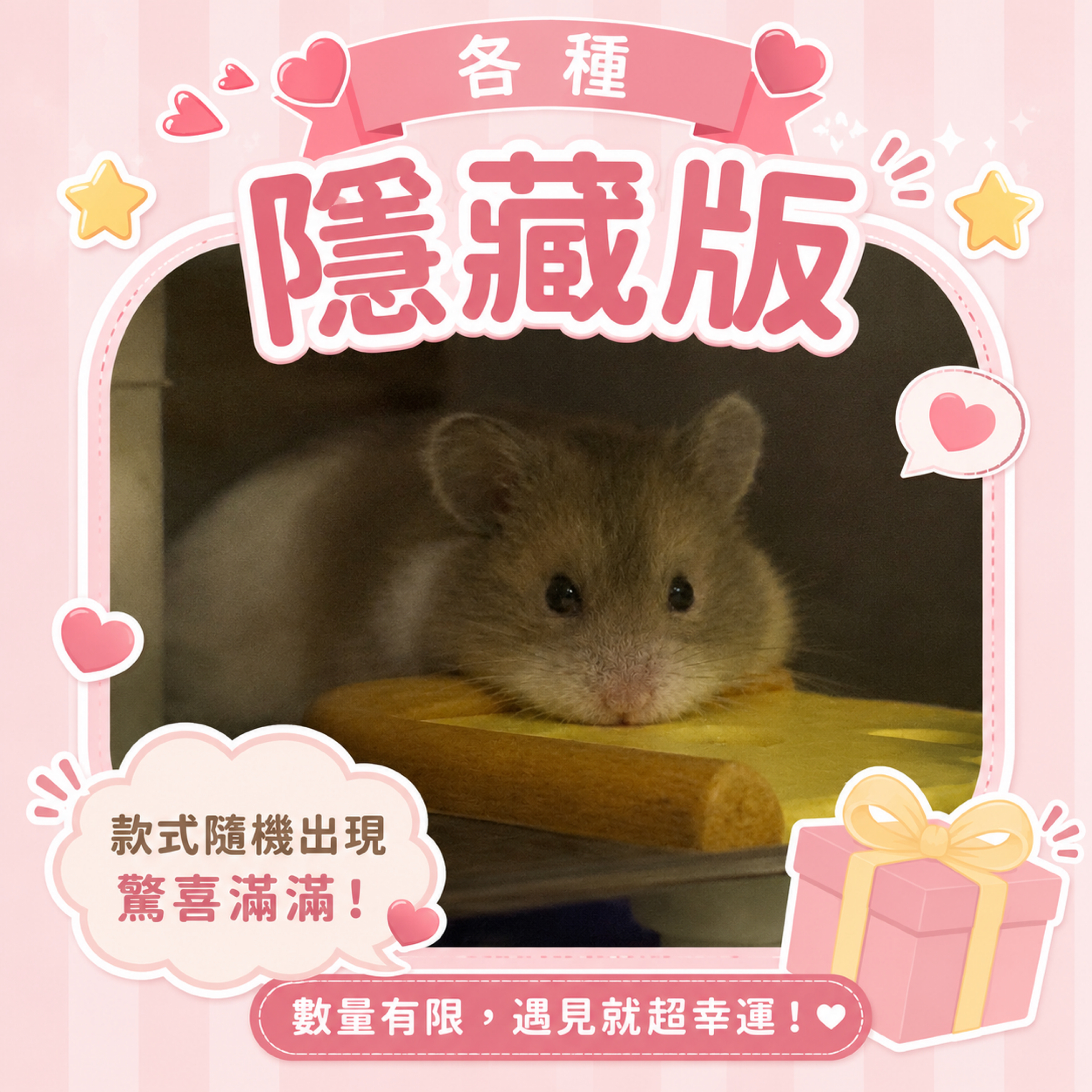 各種隱藏版