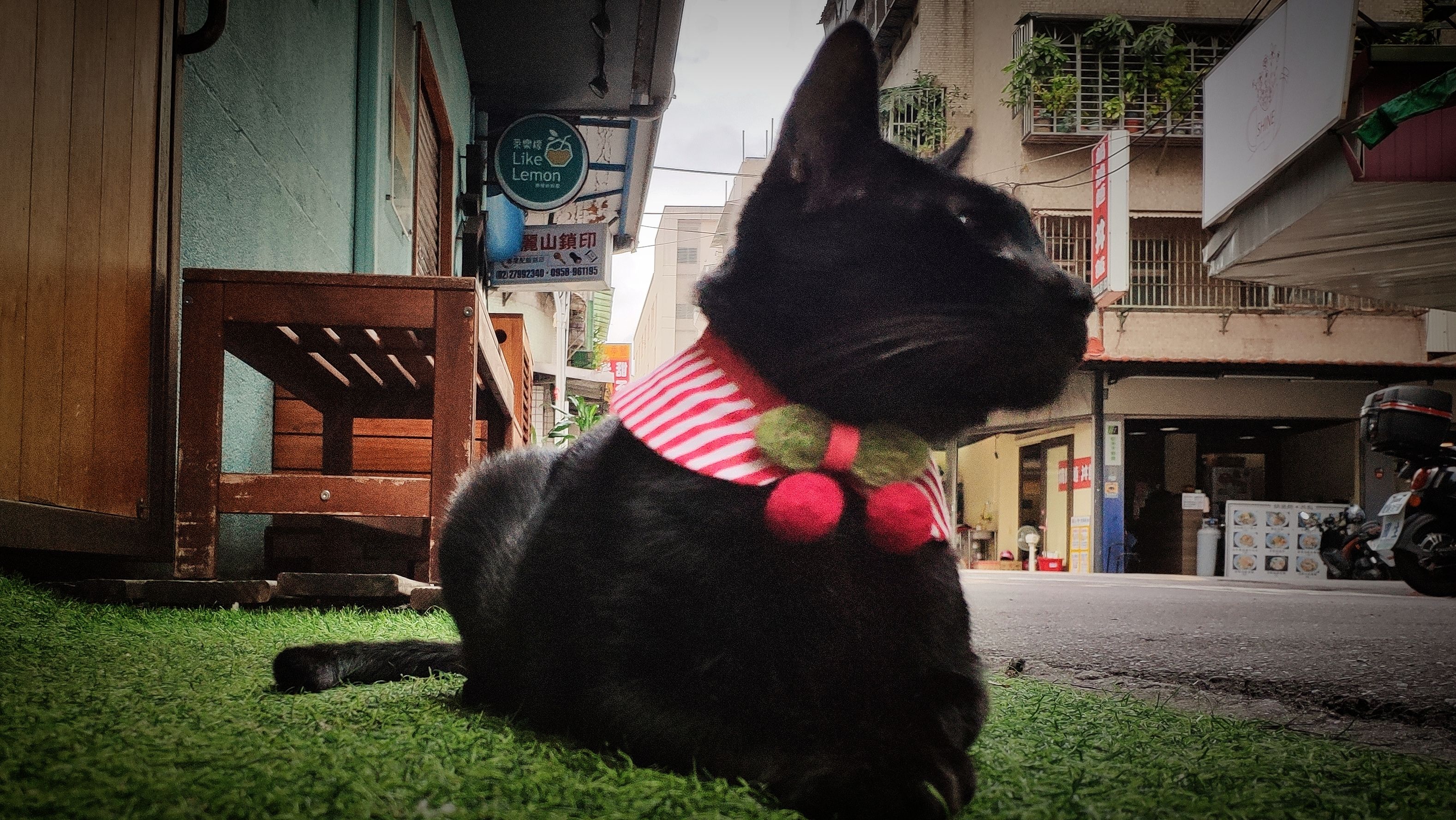 [中深烘焙][獨家配方]自家屋5號義式咖啡 Kaffa Forest No.5 Espresso