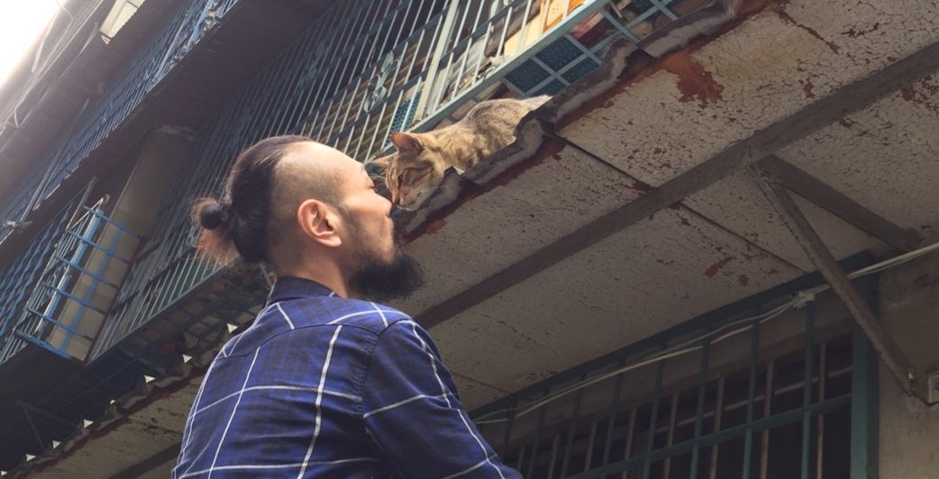 [中淺烘焙][獨家配方]屋頂上的貓咖啡配方 The Cat With Pink Floyd Blend