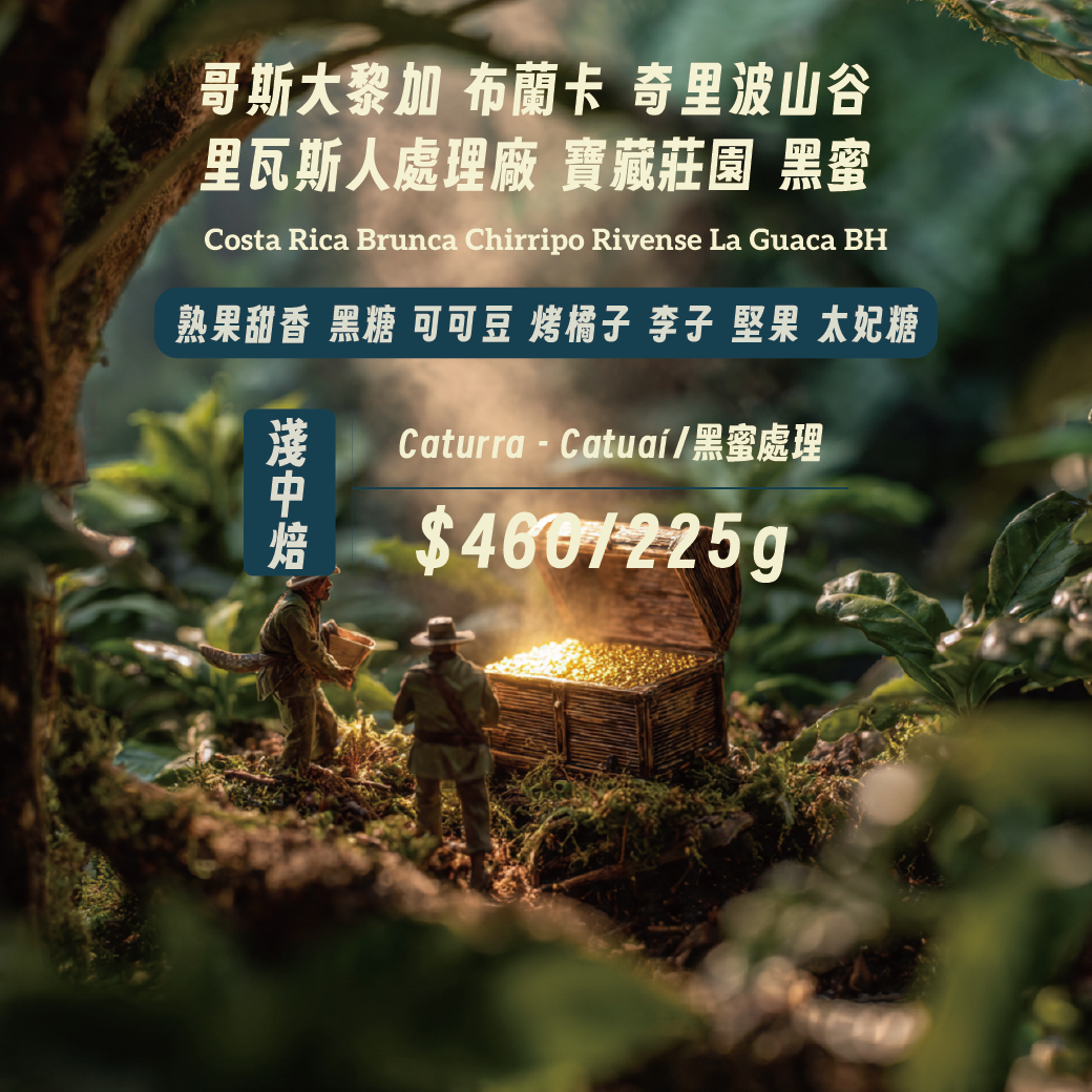 [淺中焙][黑蜜]哥斯大黎加 布蘭卡 奇里波山谷 里瓦斯人處理廠 寶藏莊園 黑蜜