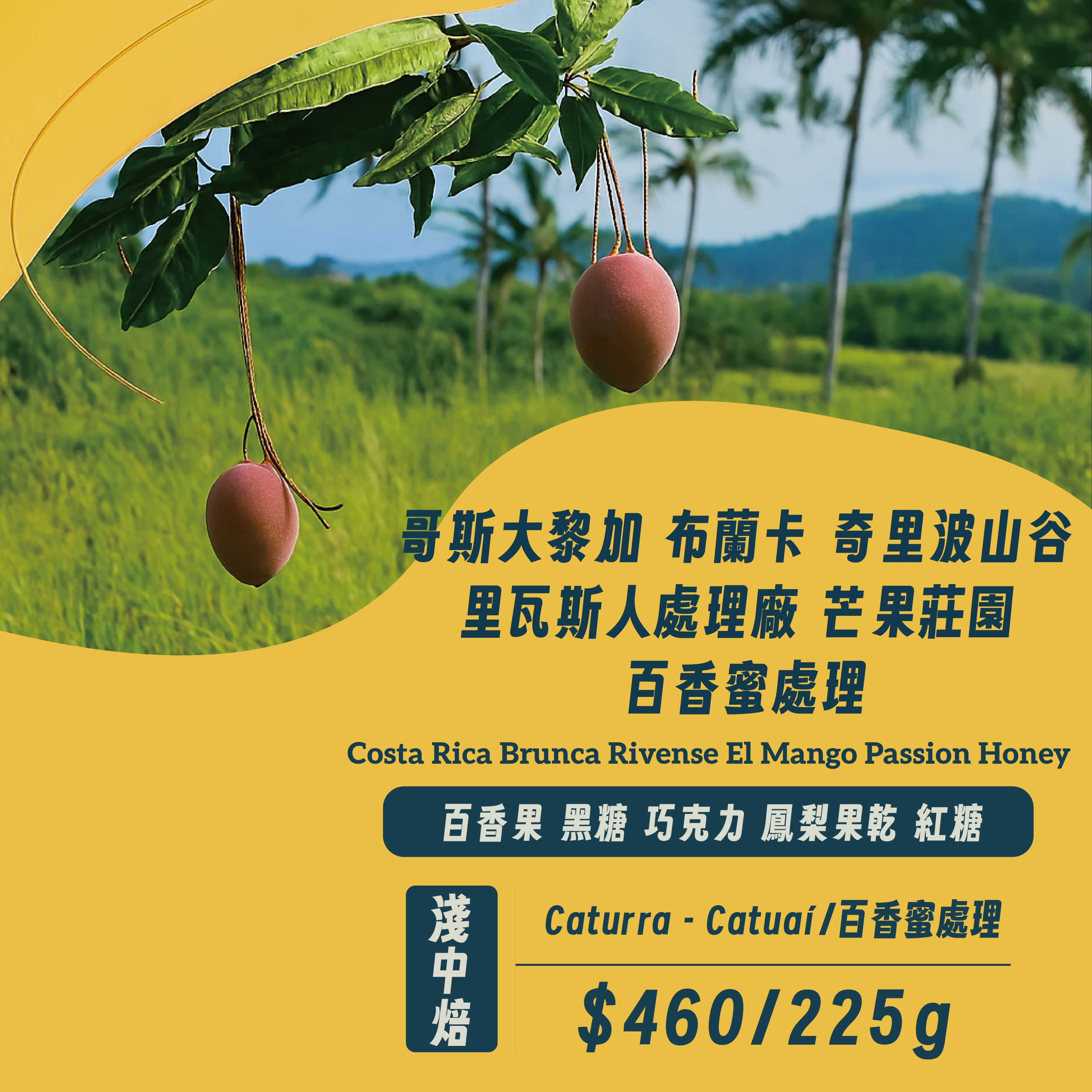 [淺中焙][百香蜜]哥斯大黎加 布蘭卡 奇里波山谷 里瓦斯人處理廠 芒果莊園 百香蜜處理