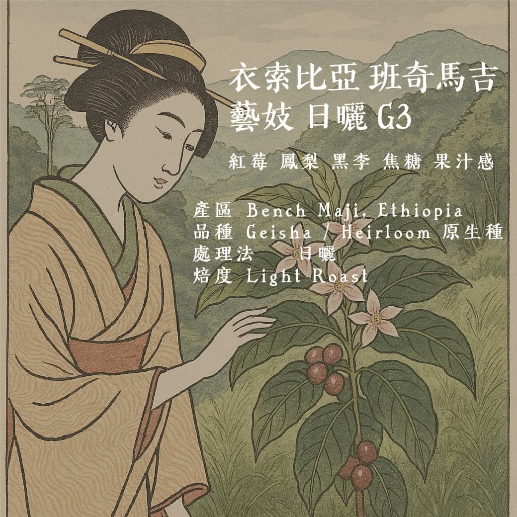 [不是每一支 G3 都能喝出 G1 的風味， 但這支藝妓，真的做到了]衣索比亞 班奇馬吉 藝妓 日曬 G3