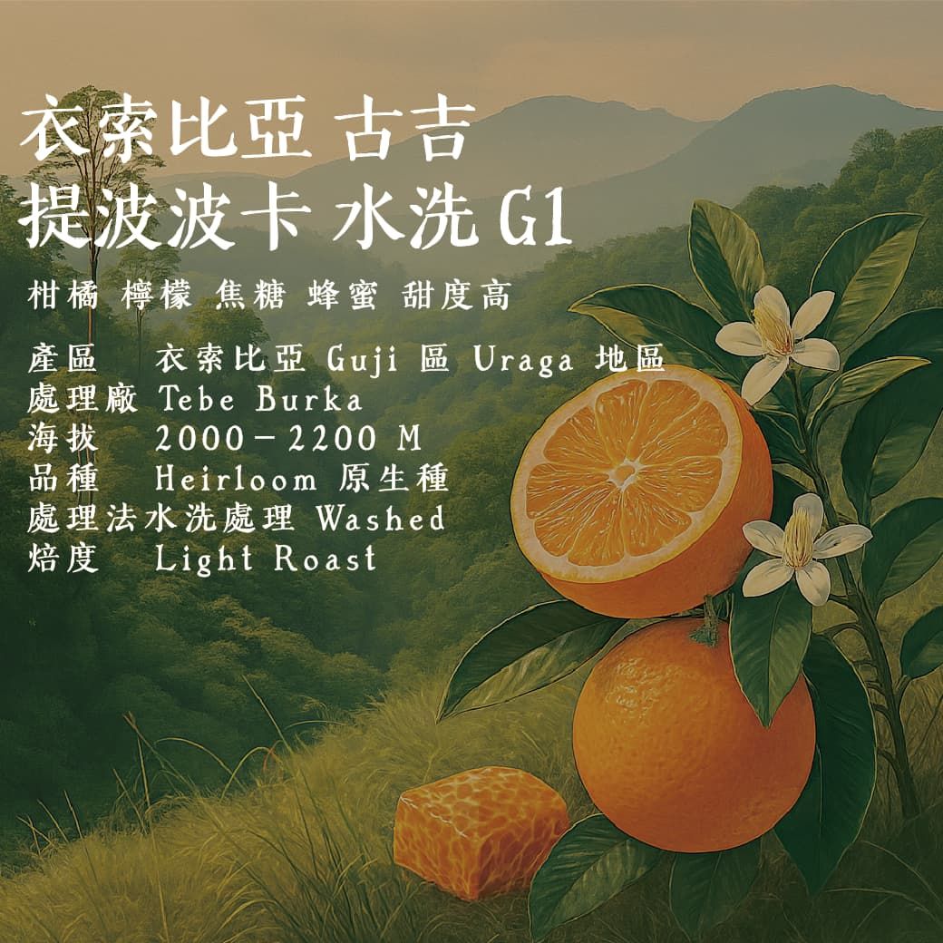 [來自肥沃山丘的冠軍風味， 一支讓你重新定義水洗豆的谷吉]衣索比亞 古吉 提波波卡 水洗 G1