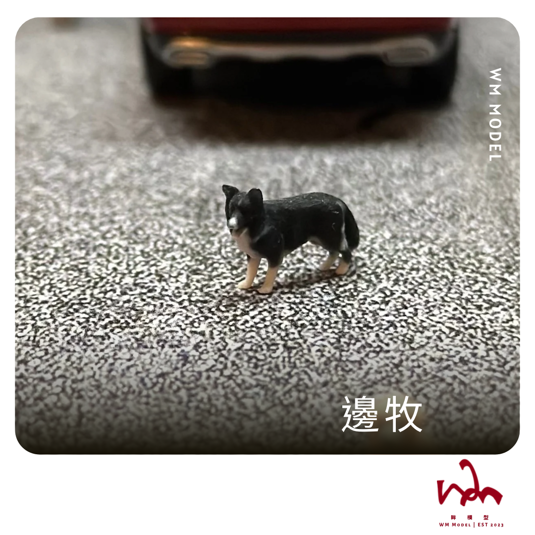 WM模型 1/64 邊牧 狗狗 3D列印 模型 場景 配件