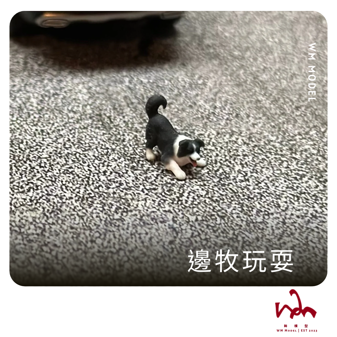 WM模型 1/64 邊牧玩耍 狗狗 3D列印 模型 場景 配件