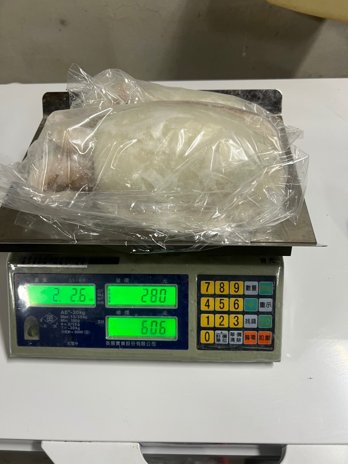 鮮凍花枝一斤280元