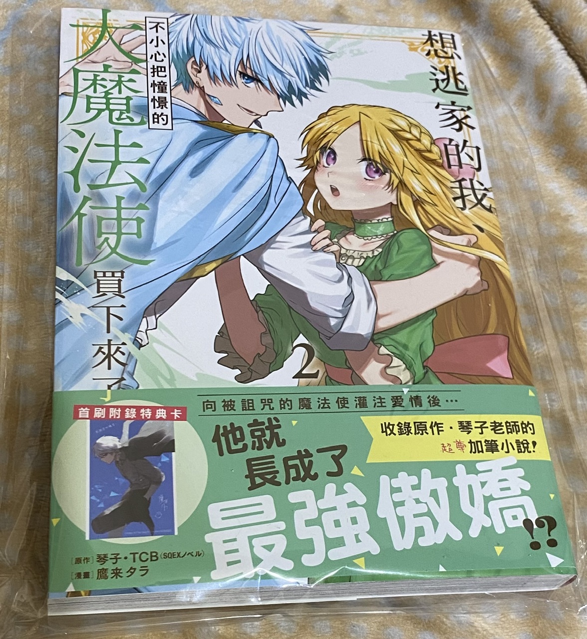[二手] 想逃家的我不小心把憧憬的大魔法使買下來了2