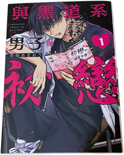 [二手] 與黑道系男子的初戀（純書）