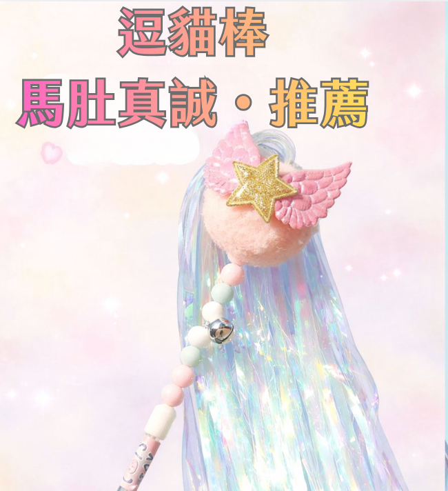 讓15歲貓阿公都玩的嚇嚇叫的逗貓棒