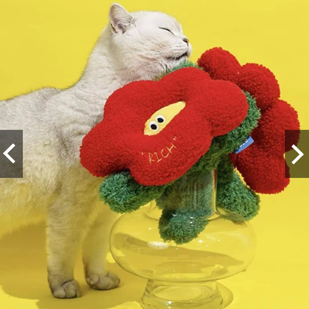 玩了就有錢｜有錢花貓薄荷玩具（現貨秒出）