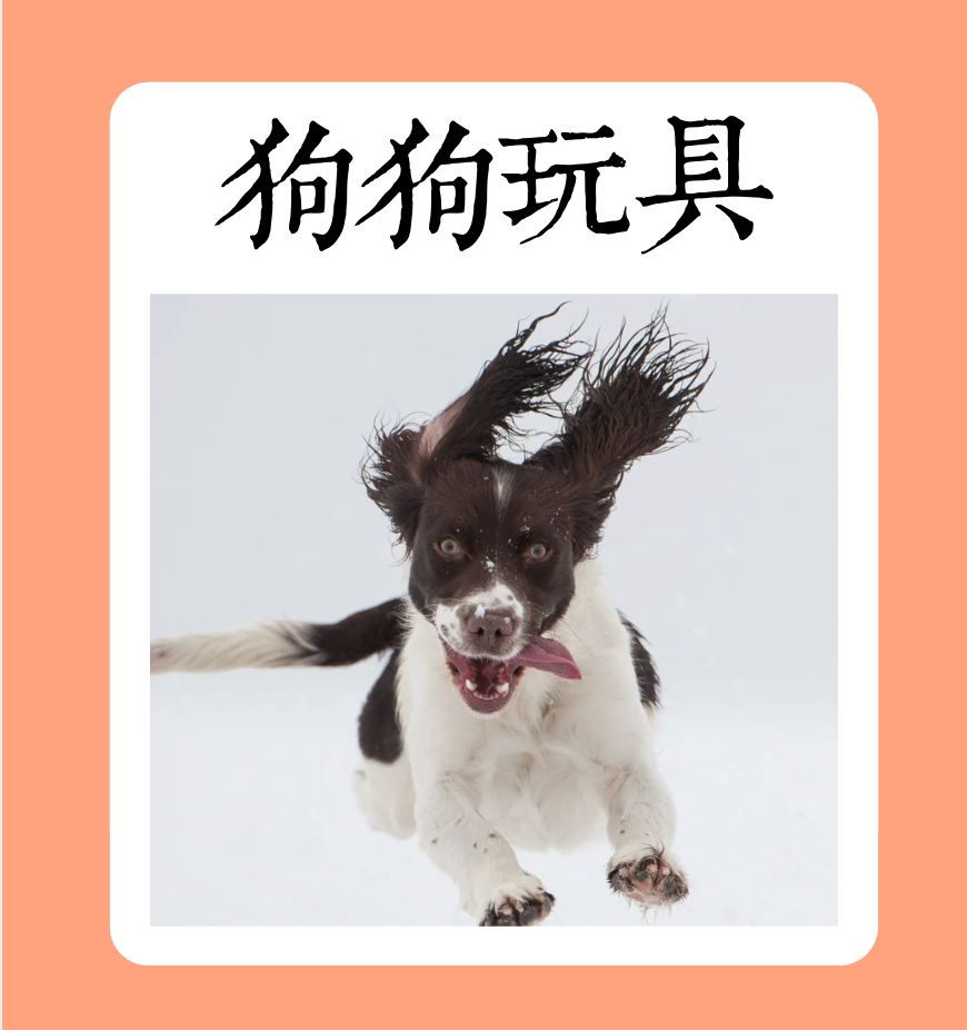 狗狗玩具專屬賣場，讓你的狗快樂似神仙（都是現貨秒出）