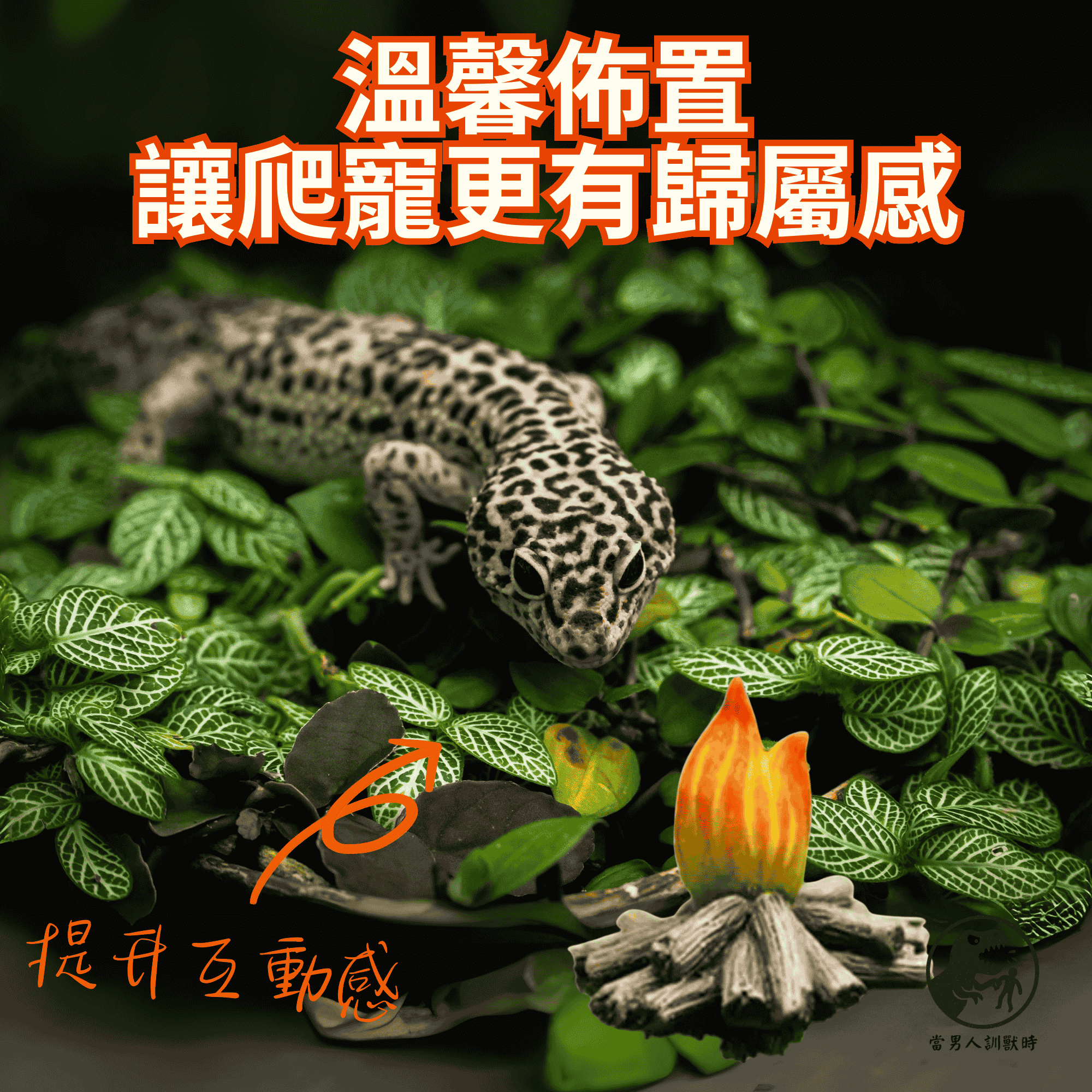 爬蟲箱裝飾小物 ｜迷你營火堆 ｜火舞營火｜暖爐小火｜爬蟲｜守宮/鬃獅蜥/角蛙