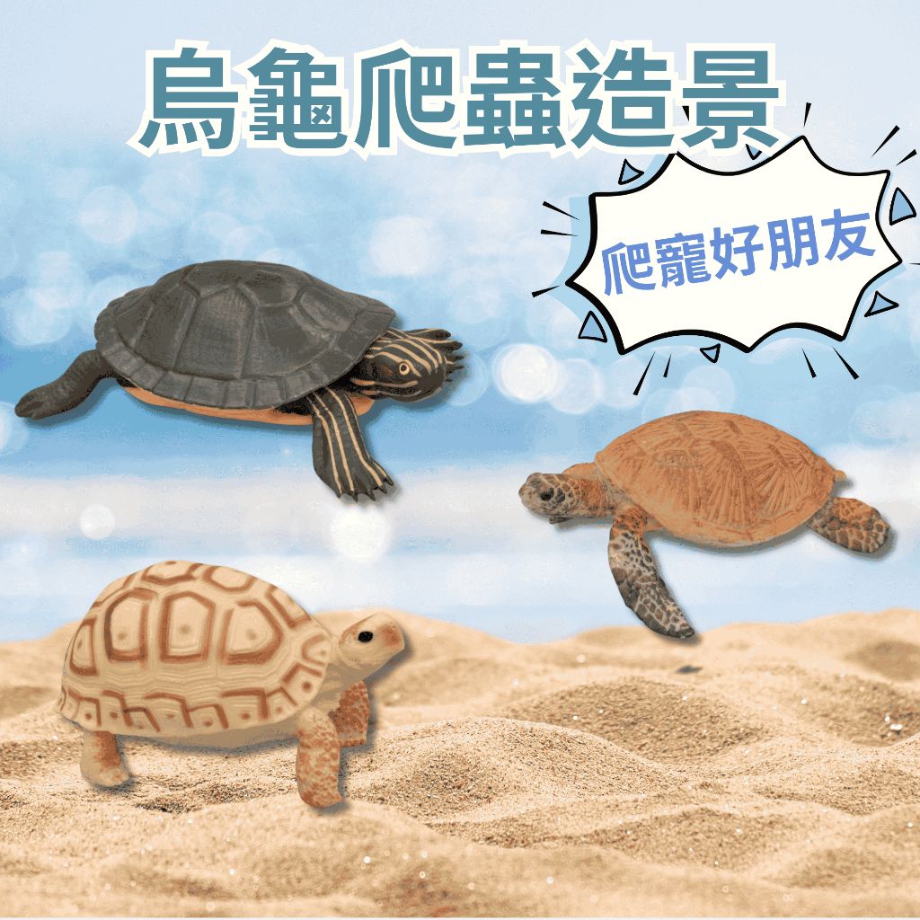烏龜爬蟲造景｜海龜 ｜巴西龜｜蘇卡達 ｜