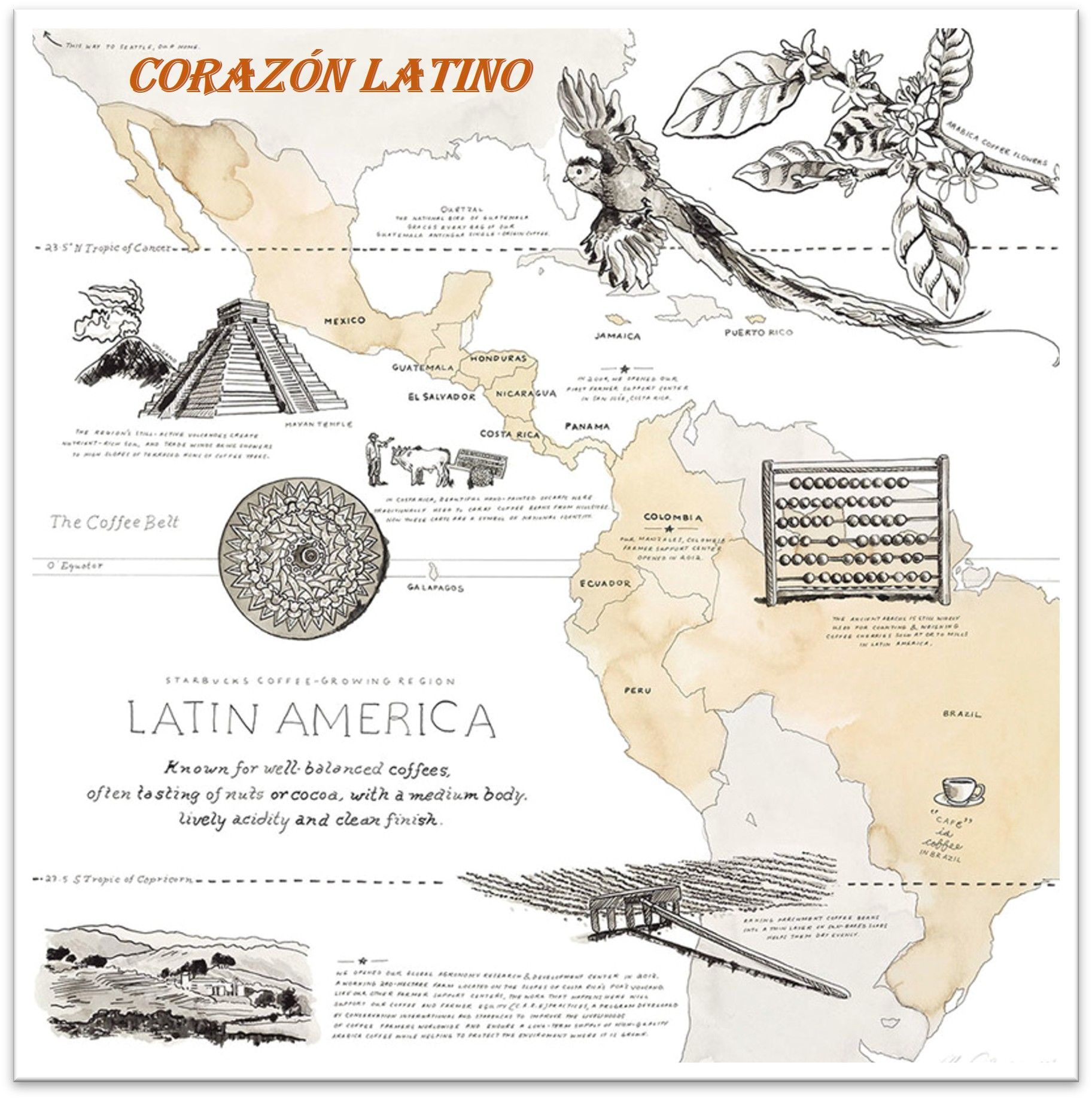 29 拉丁之心- 精品藝妓花果酒香