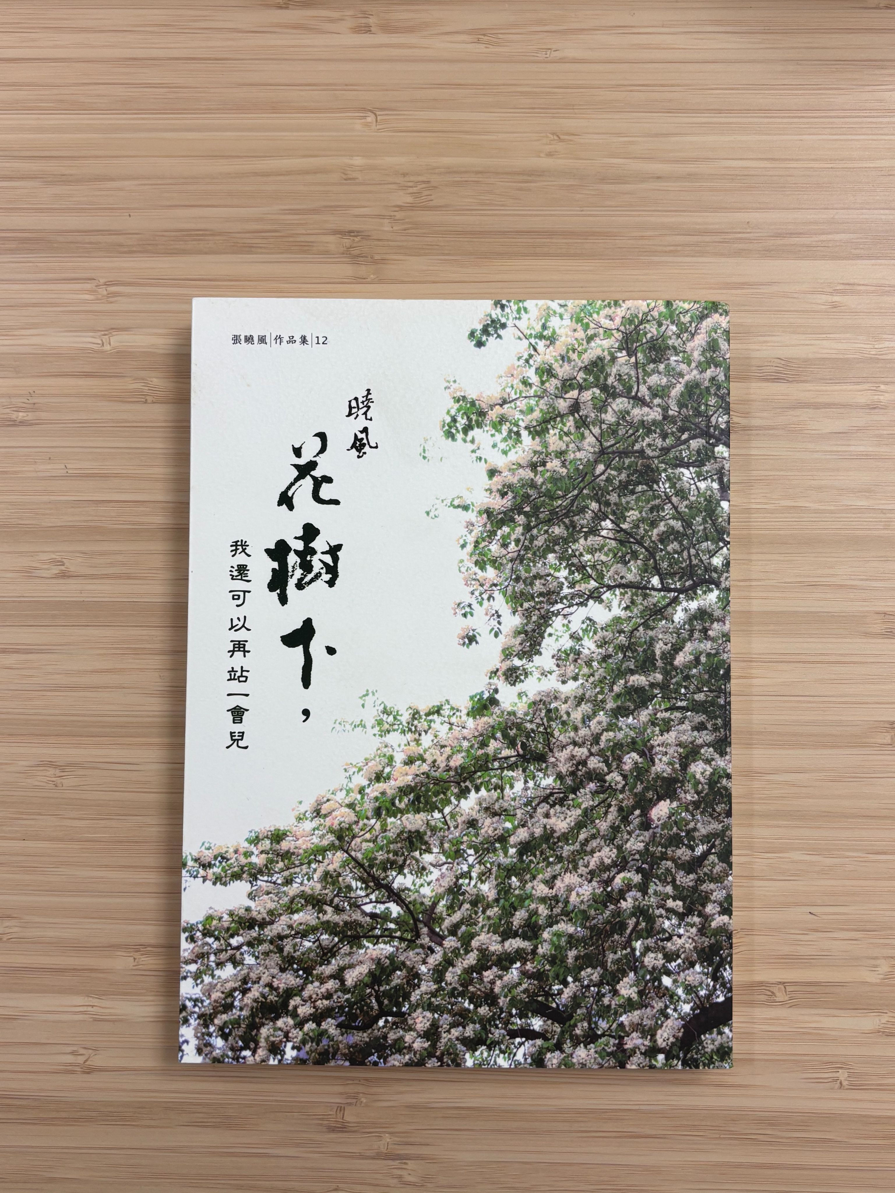 張曉風散文集