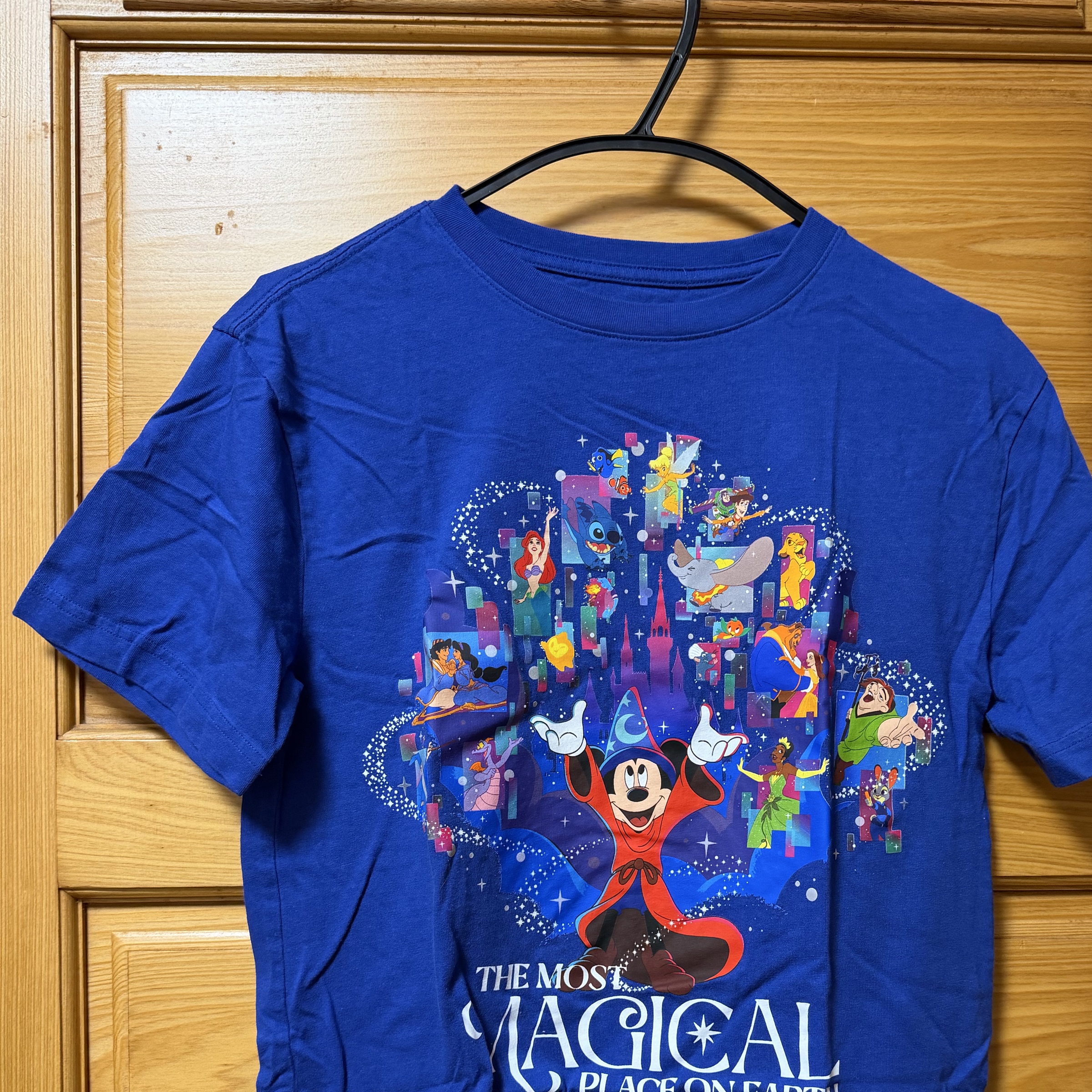 🇺🇸Disney T