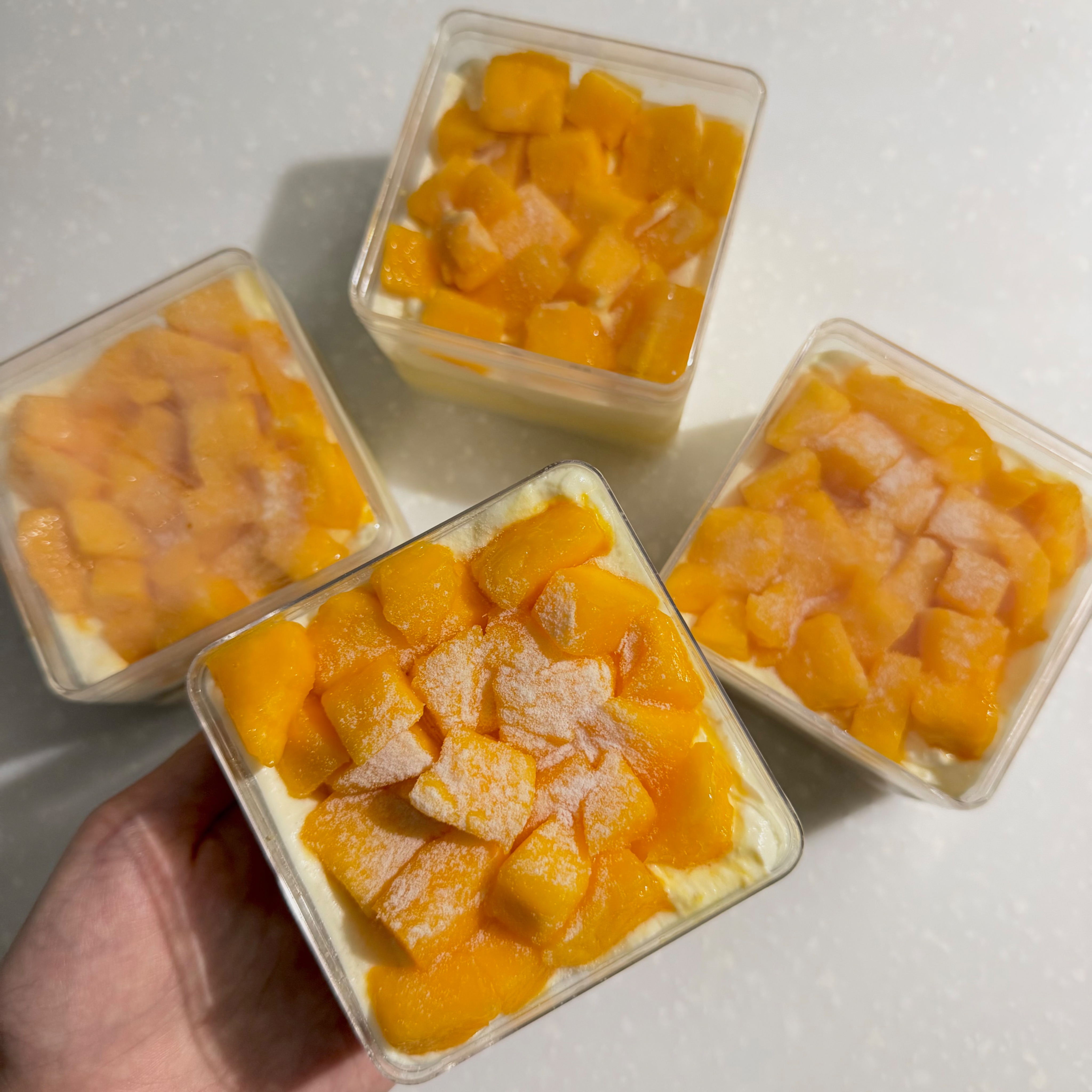 水狗盒子蛋糕