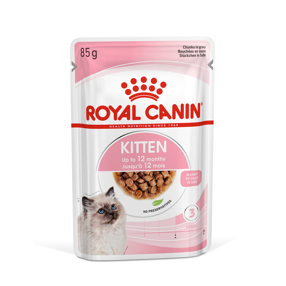 K36W_幼母貓｜免疫系統 DHA｜原廠公司貨