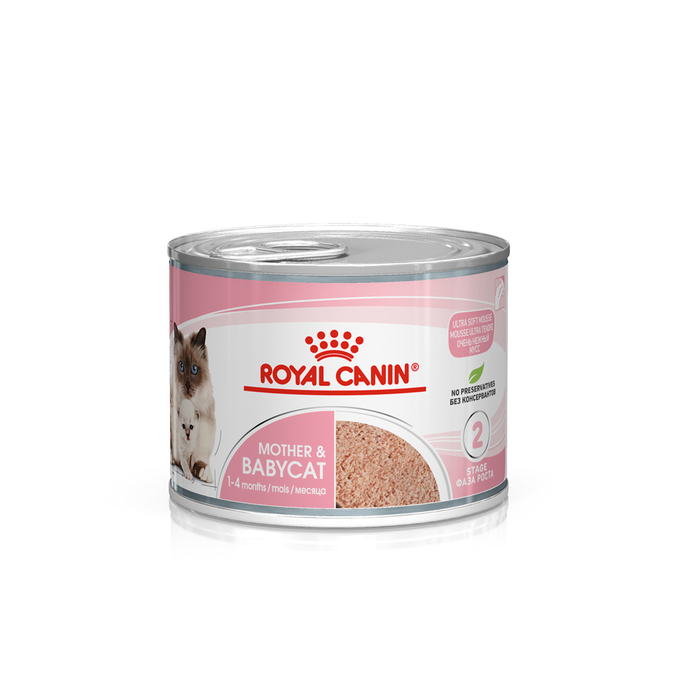 BC34W_離乳貓罐頭｜免疫系統 DHA｜原廠公司貨