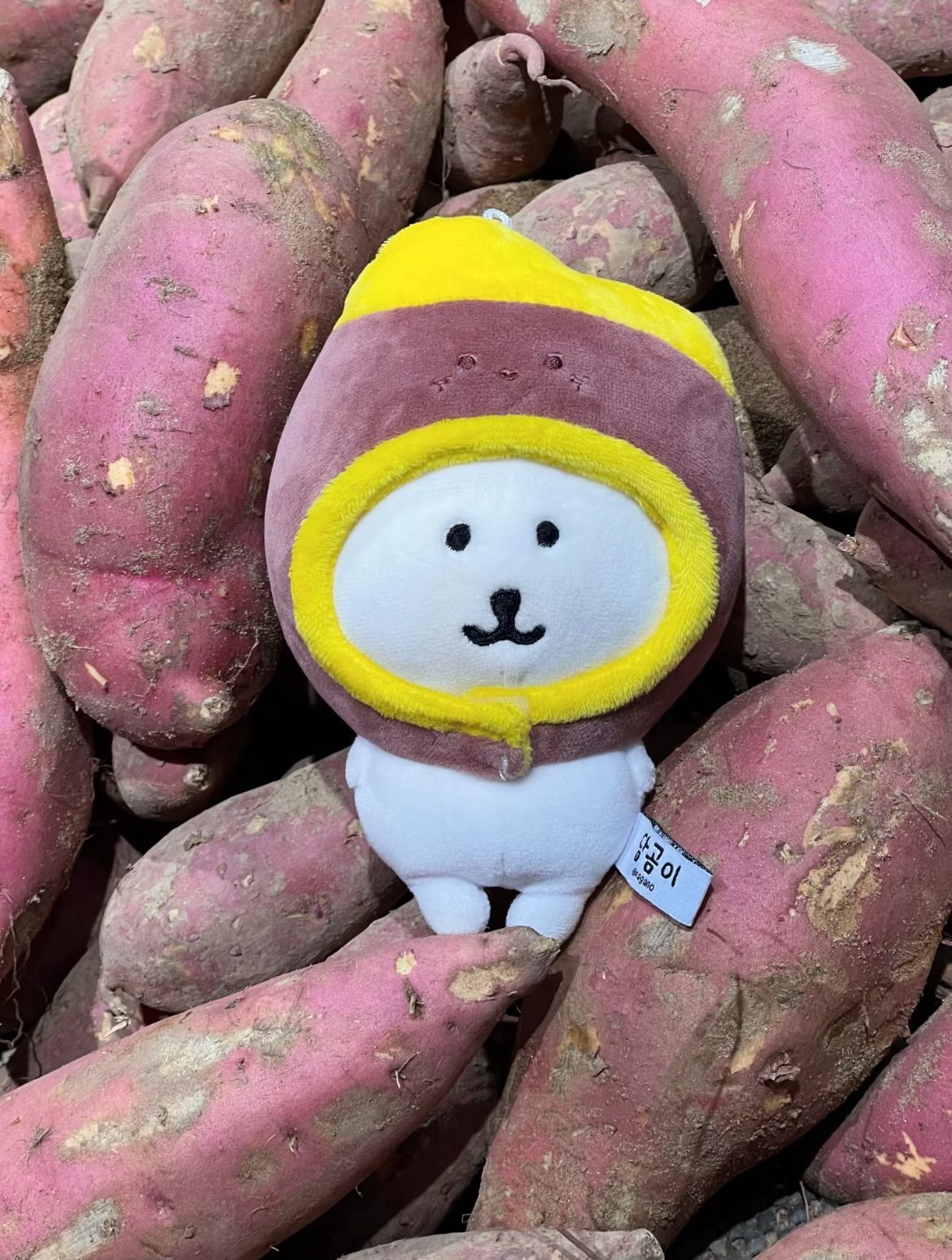 【現貨】穀物系列🌾：玉米🌽、栗子🌰、地瓜🍠、橡子