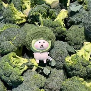【現貨】花椰菜頭套🥦13cm