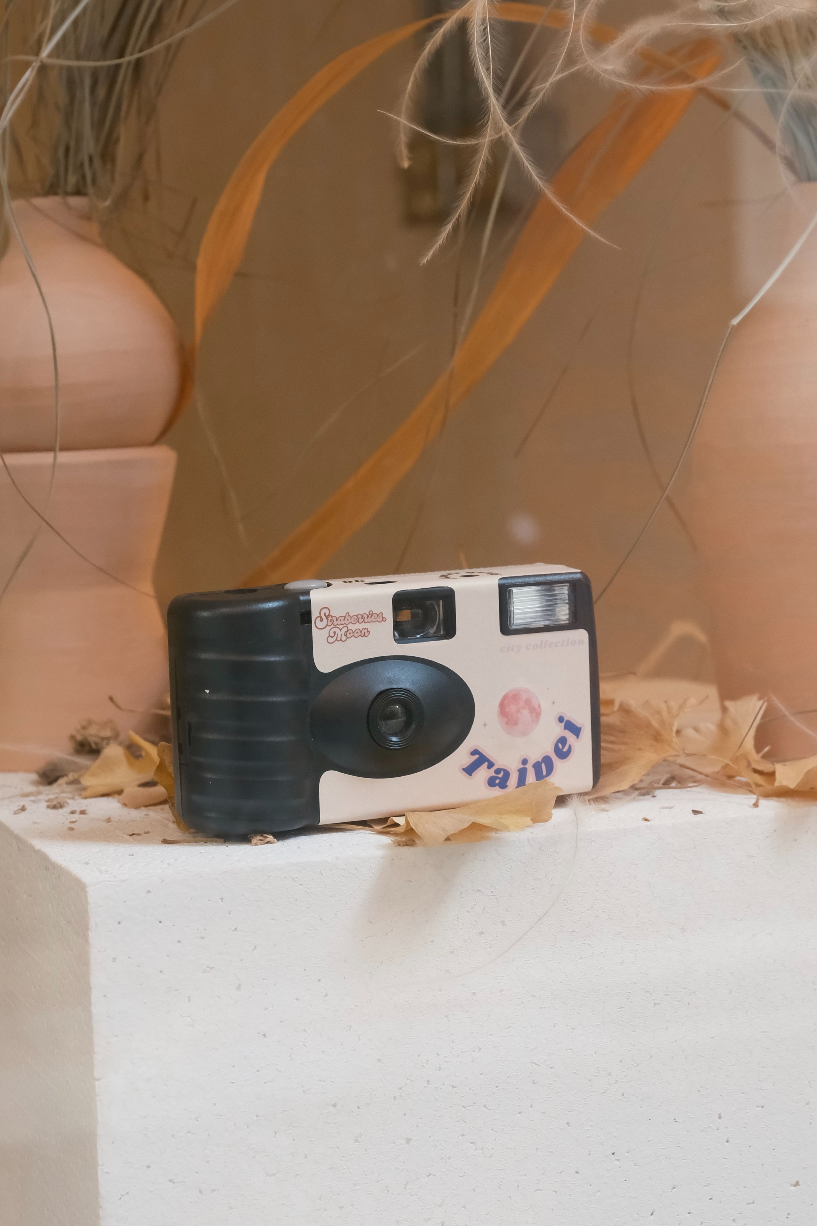 Taipei Film Camera KODAK柯達底片